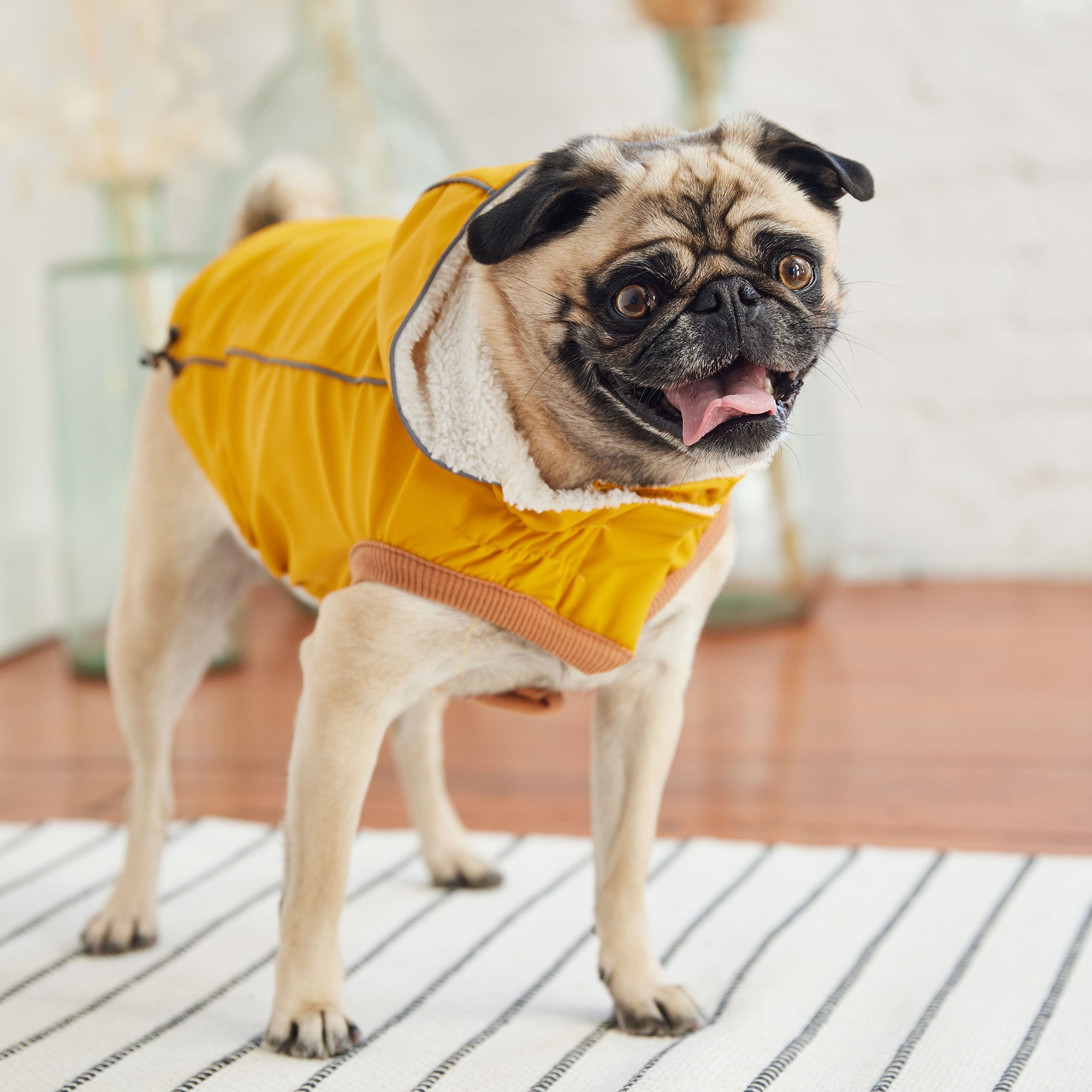 Insulated Raincoat - Yellow premium pet product