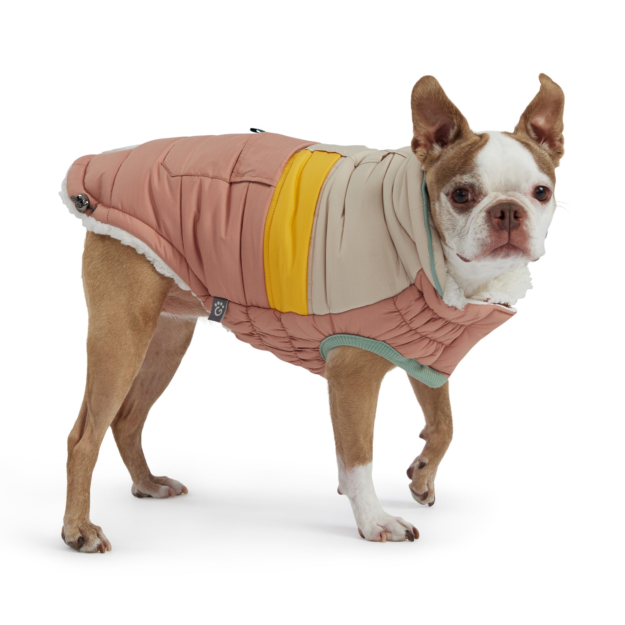 Camplife Puffer - Clay premium pet product