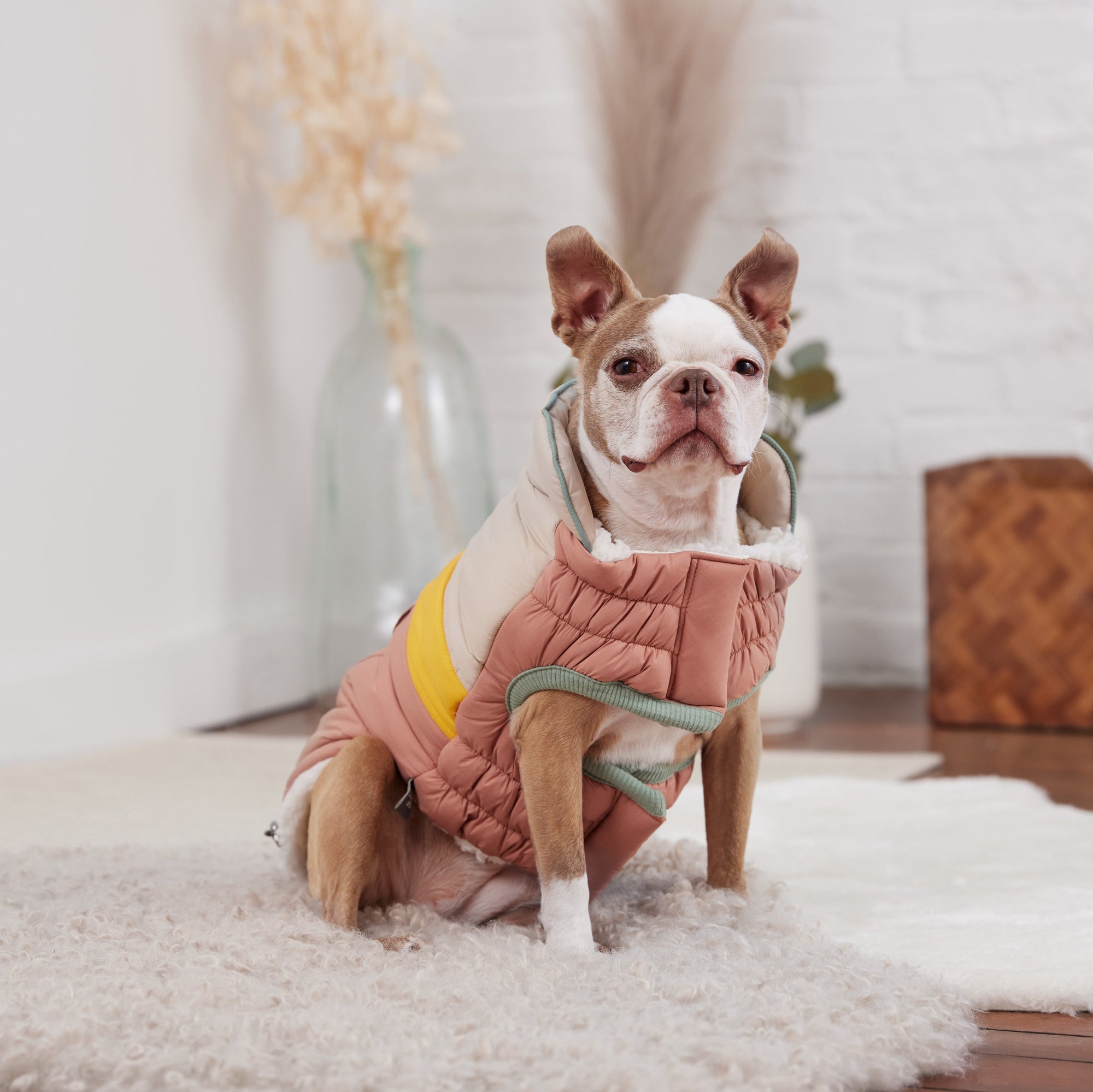 Camplife Puffer - Clay premium pet product