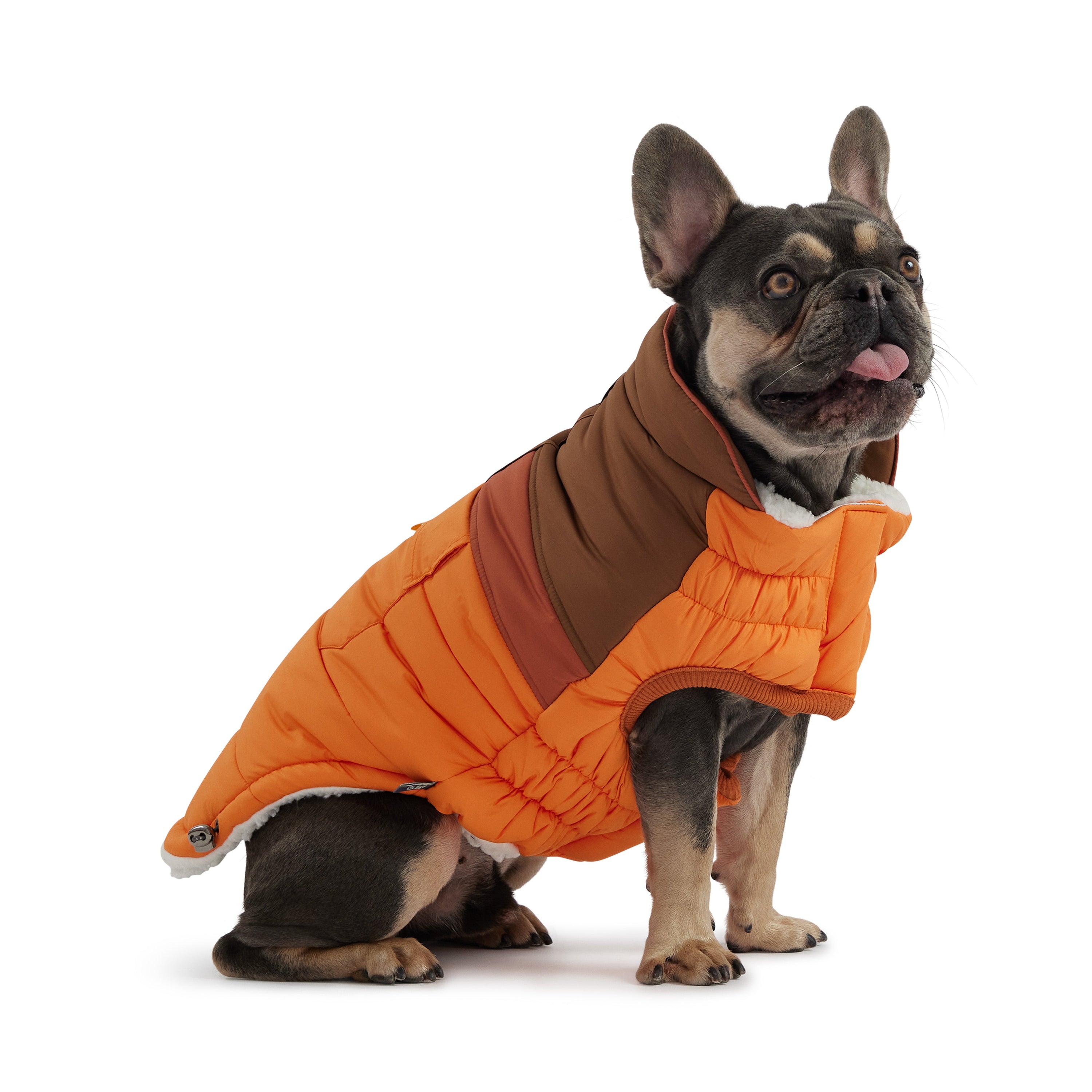 Camplife Puffer - Orange premium pet product