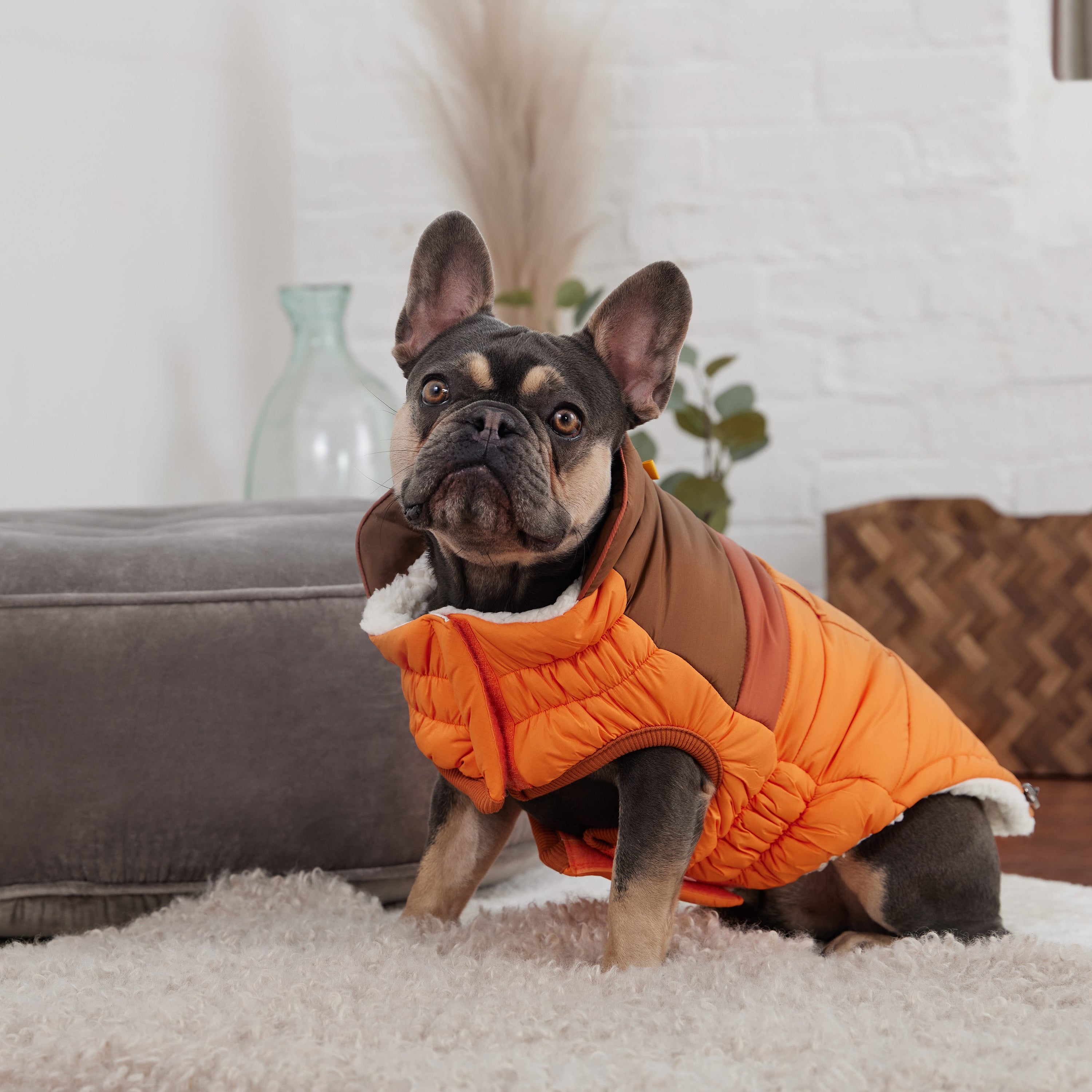 Camplife Puffer - Orange premium pet product