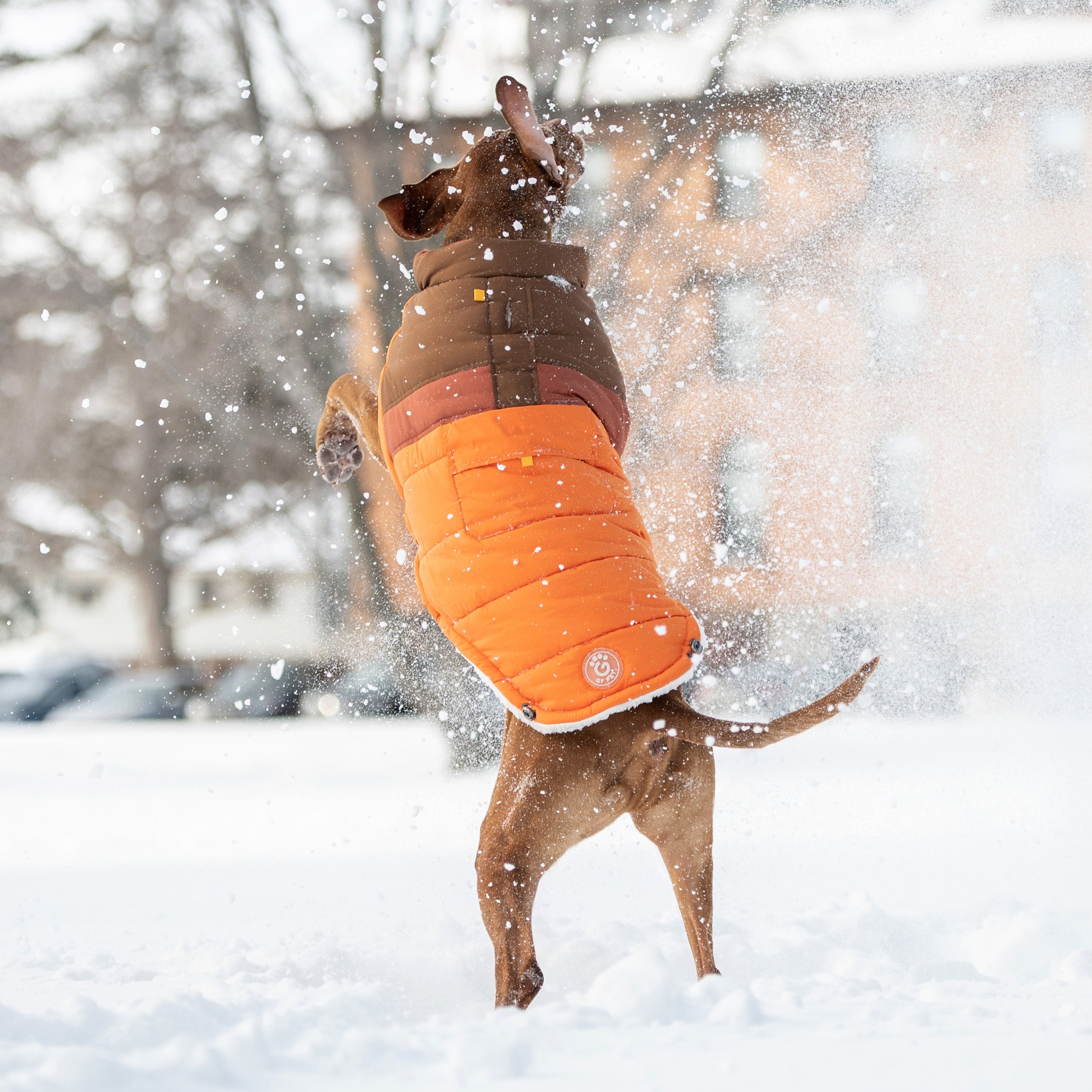 Camplife Puffer - Orange premium pet product