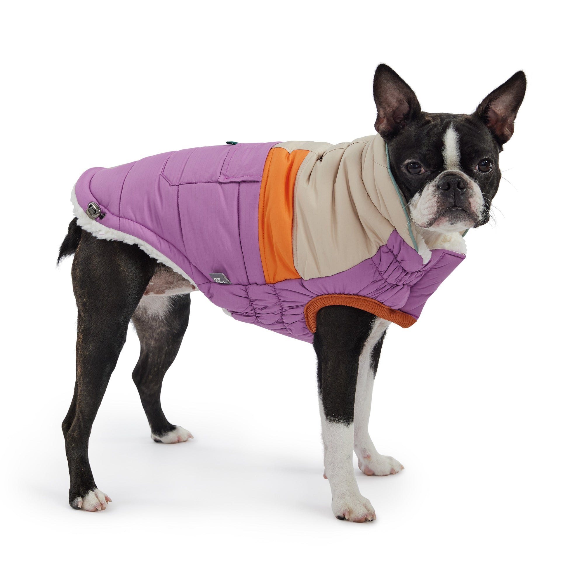 Camplife Puffer - Purple premium pet product