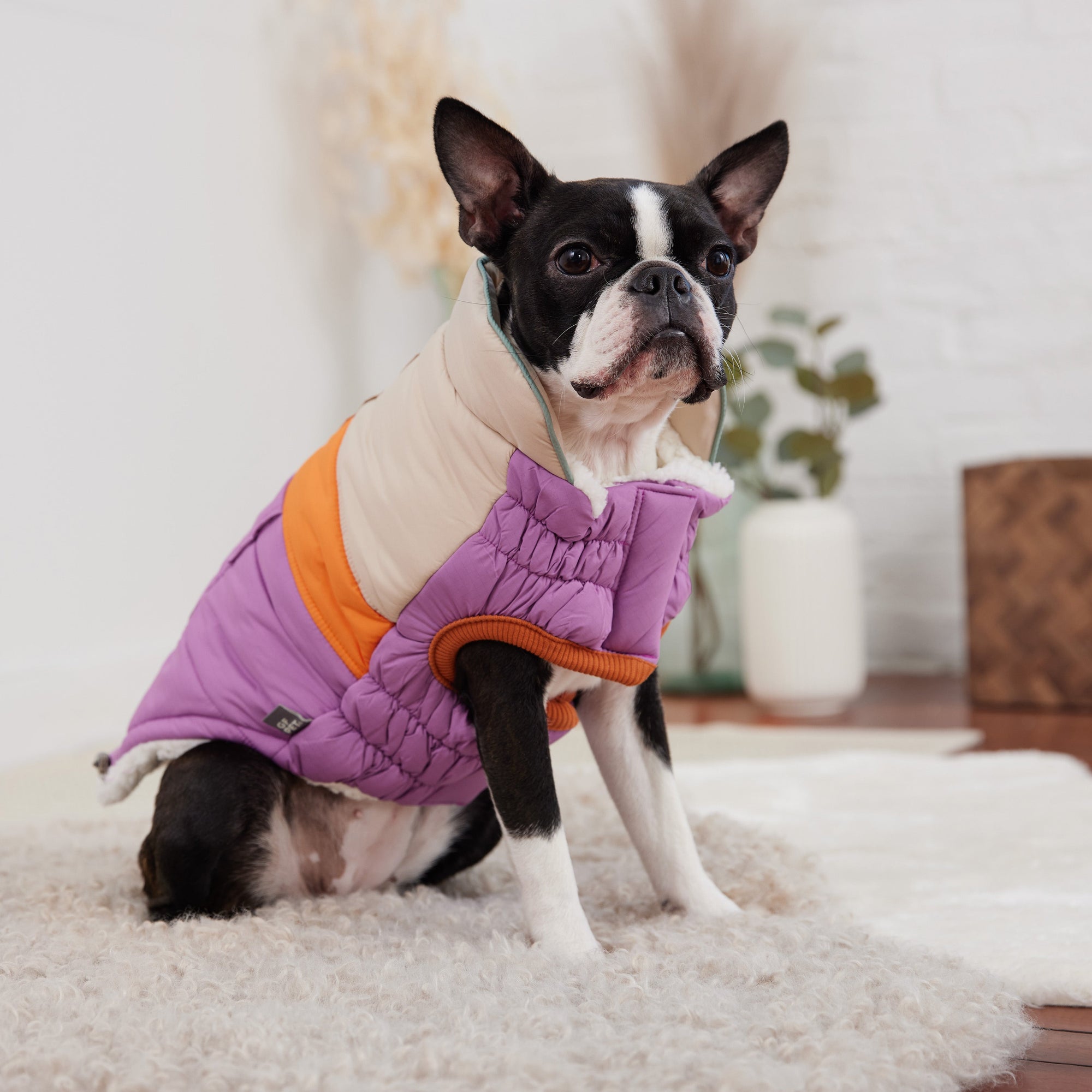 Camplife Puffer - Purple premium pet product