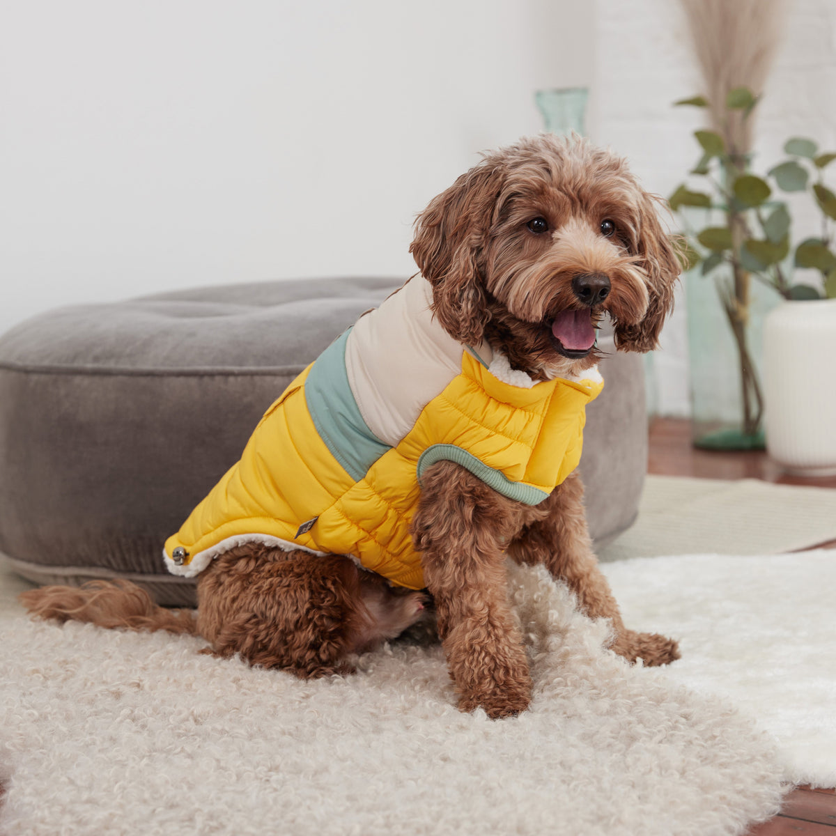 Camplife Puffer - Yellow premium pet product