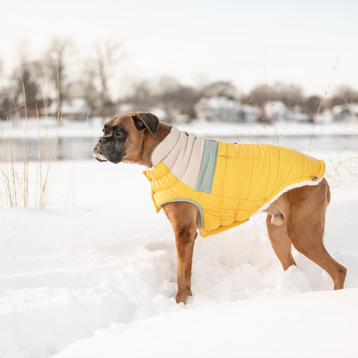 Camplife Puffer - Yellow premium pet product
