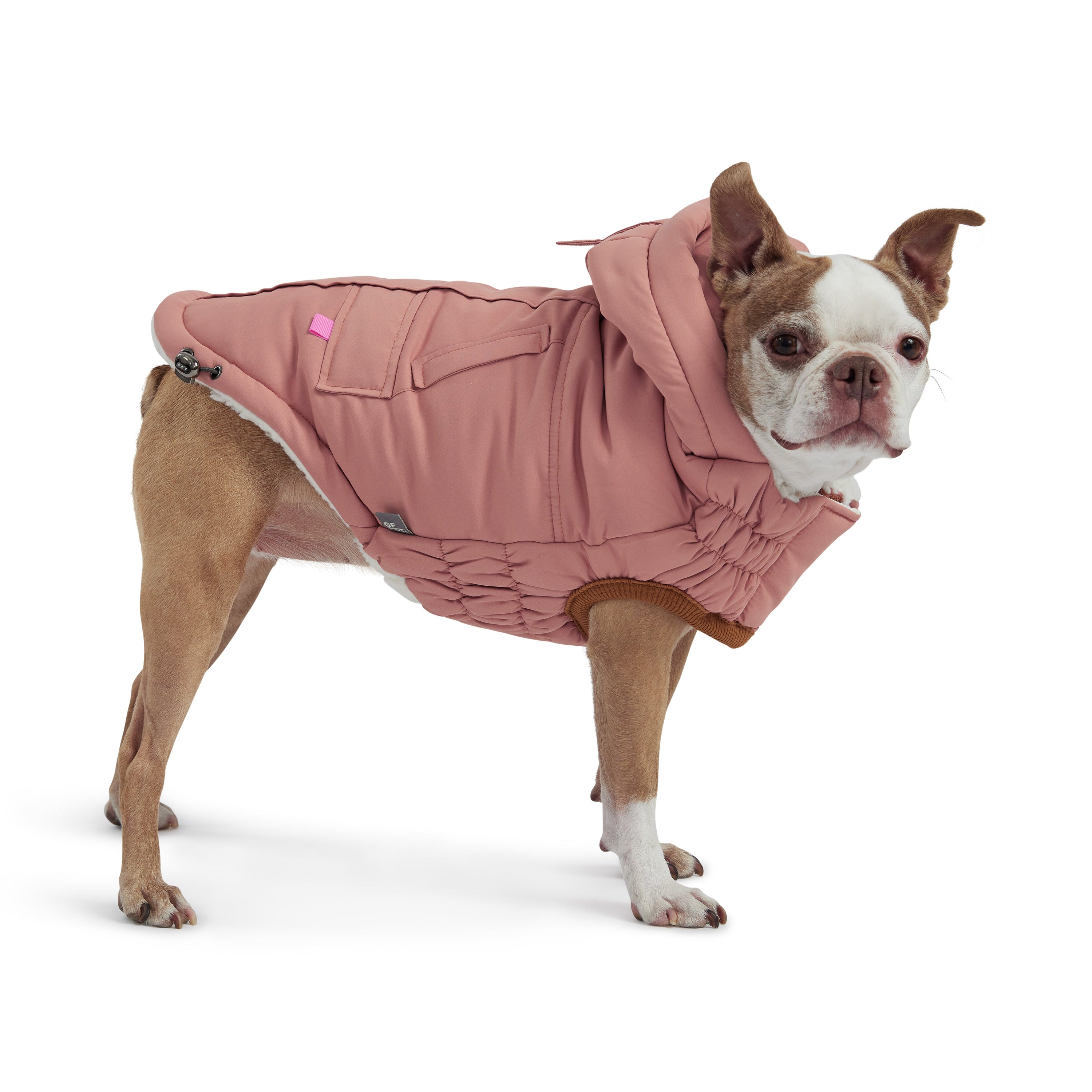 Arctic Parka - Clay premium pet product