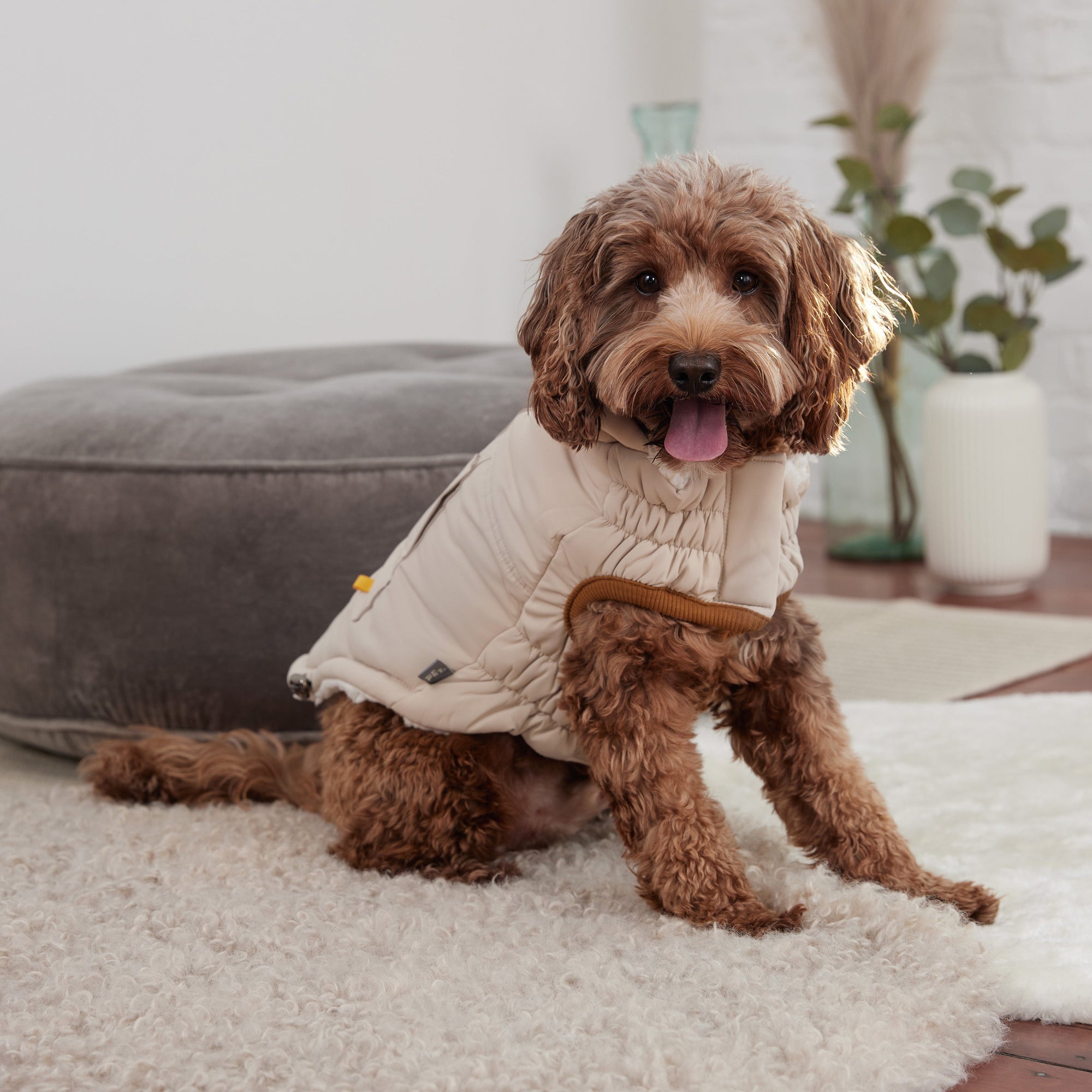 Arctic Parka - Sand premium pet product