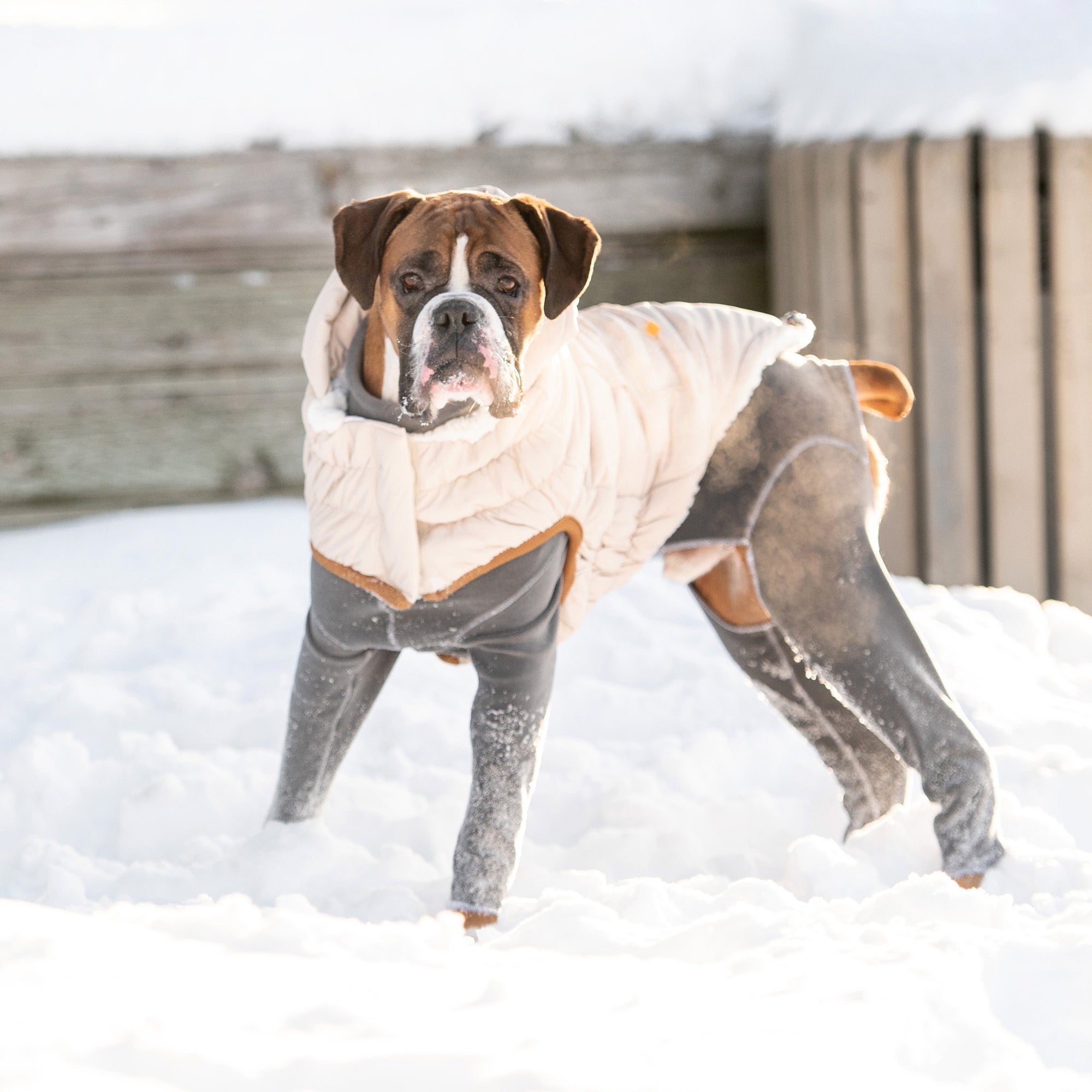 Arctic Parka - Sand premium pet product