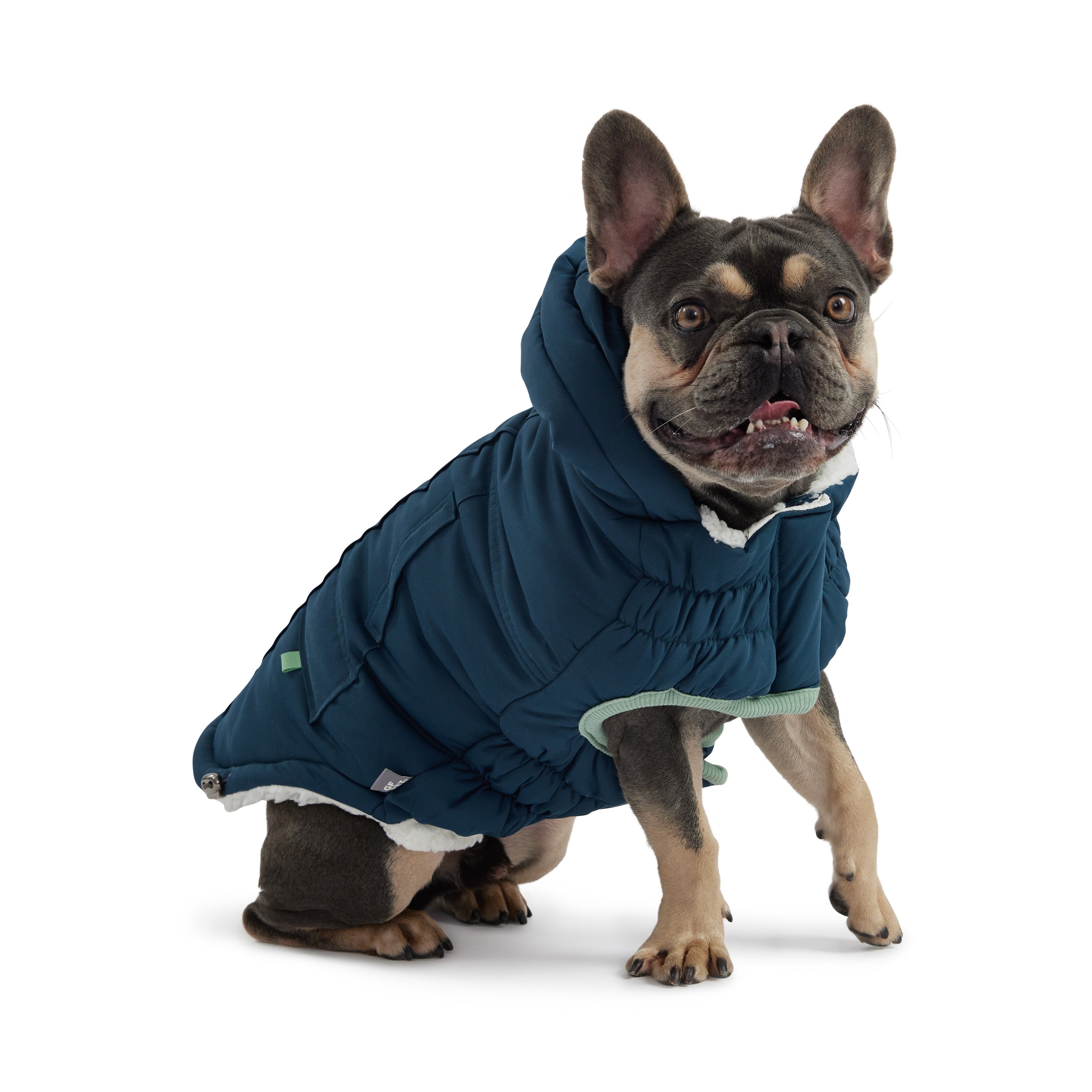 Arctic Parka - Teal premium pet product
