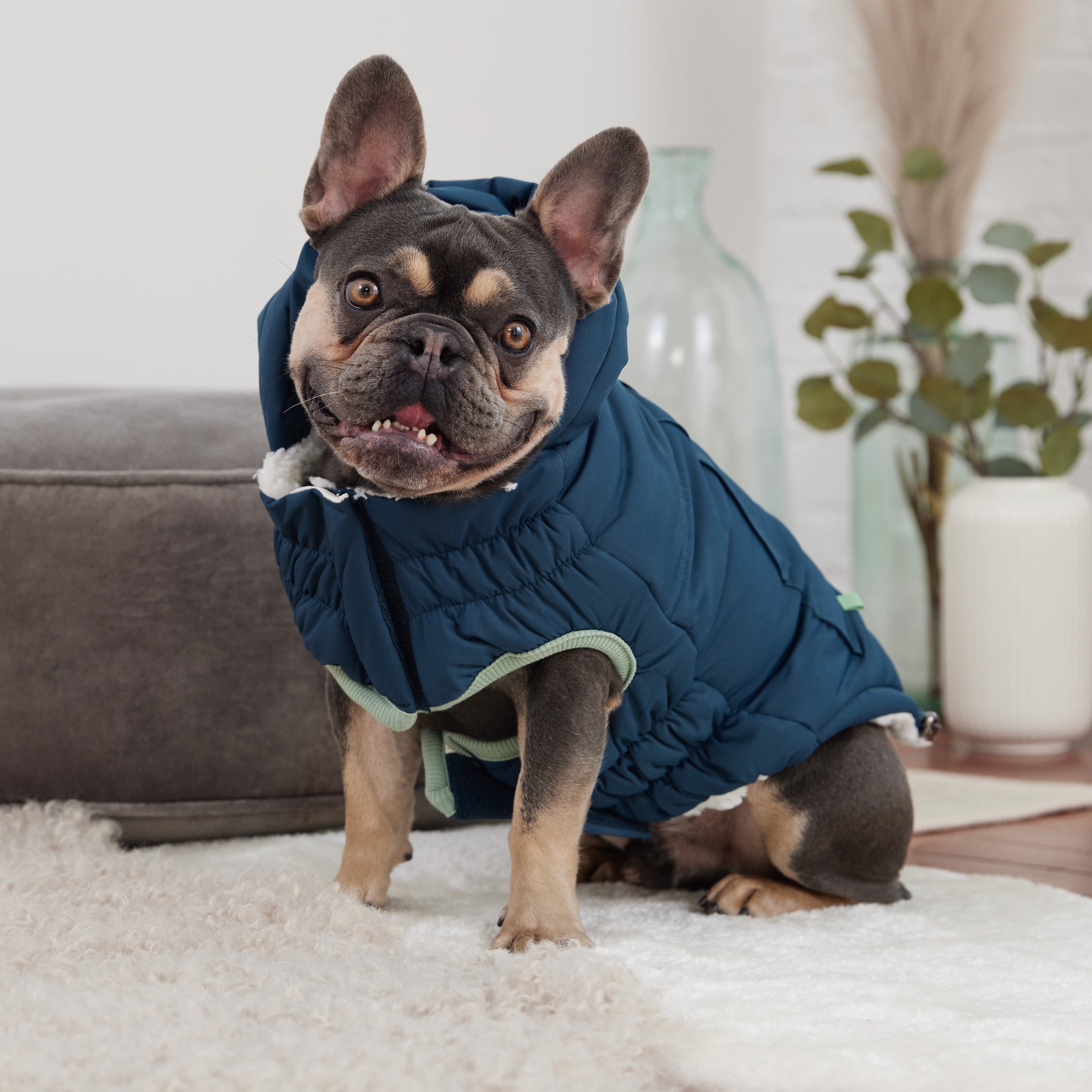 Arctic Parka - Teal premium pet product