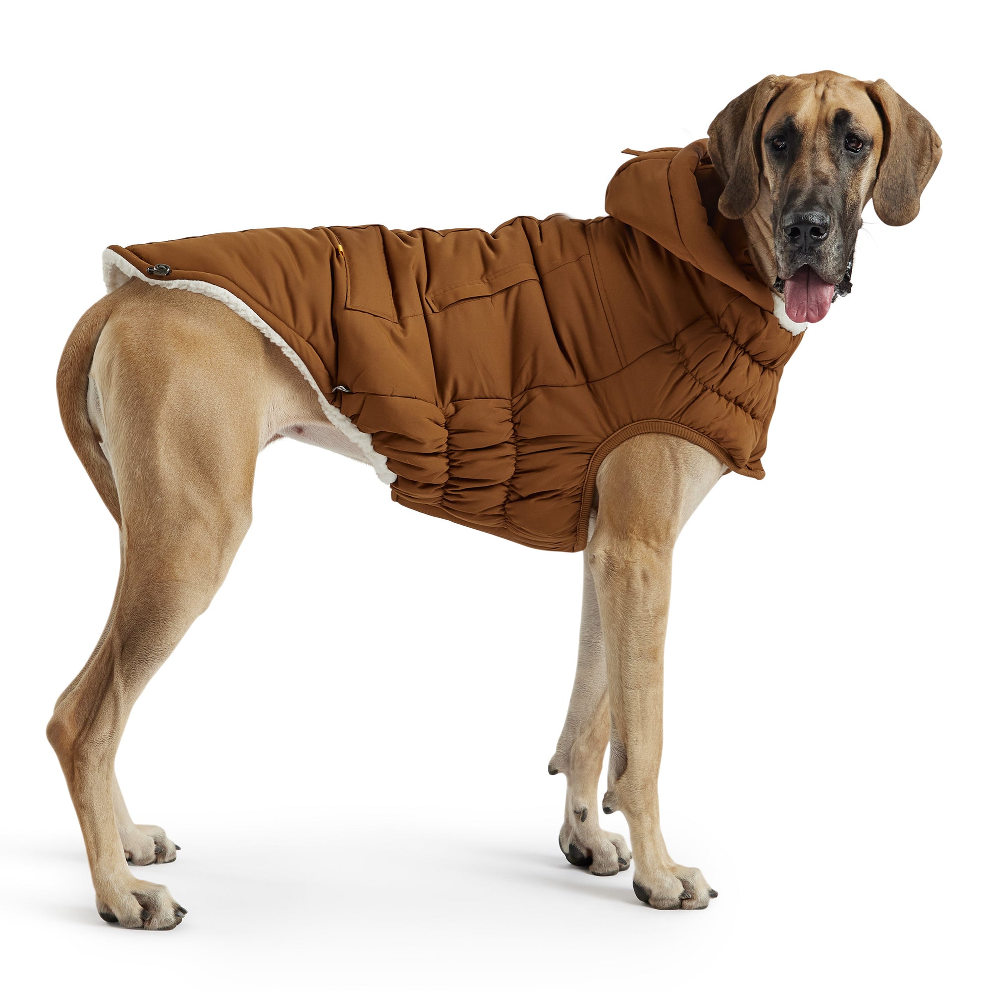 Arctic Parka - Wood premium pet product