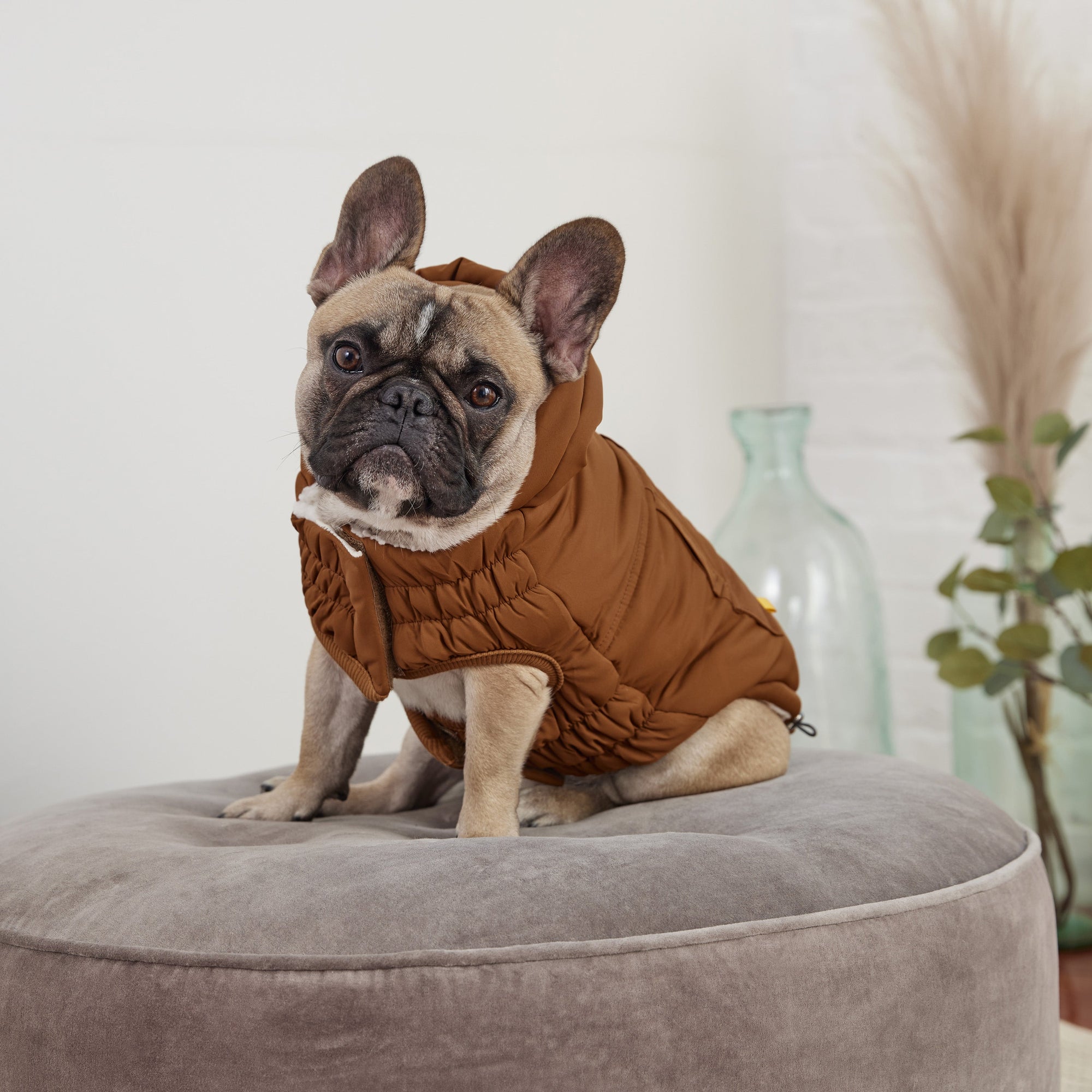 Arctic Parka - Wood premium pet product