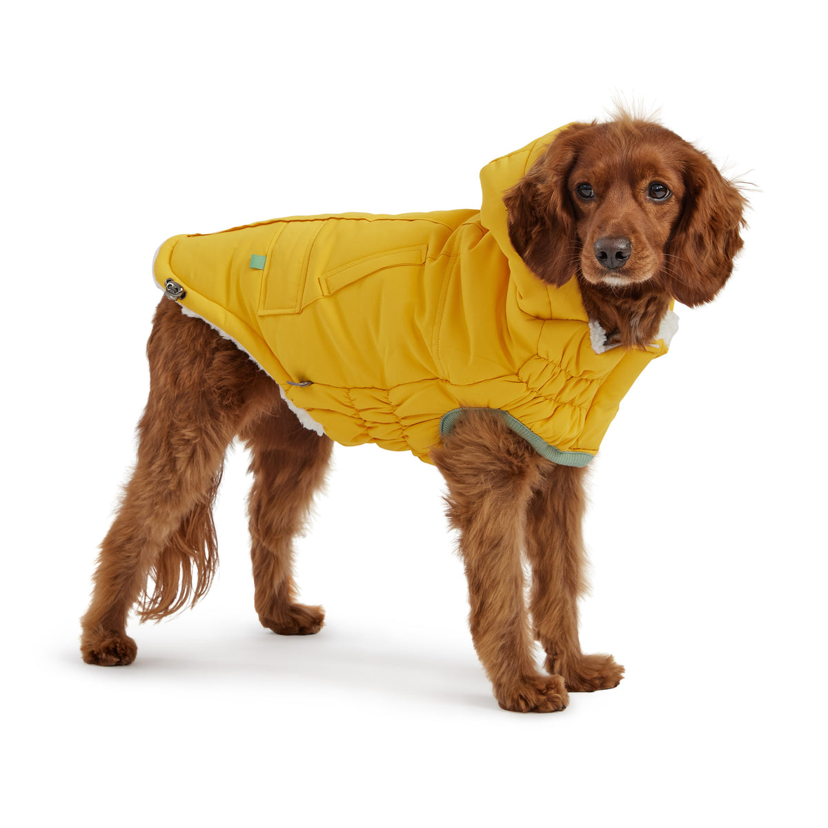 Arctic Parka - Yellow premium pet product