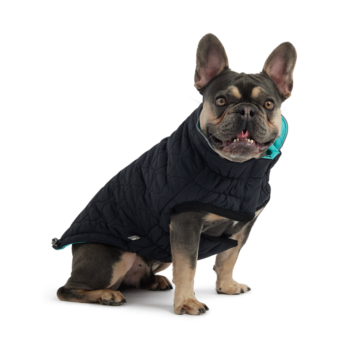 Reversible Chalet Jacket - Black/Aqua premium pet product