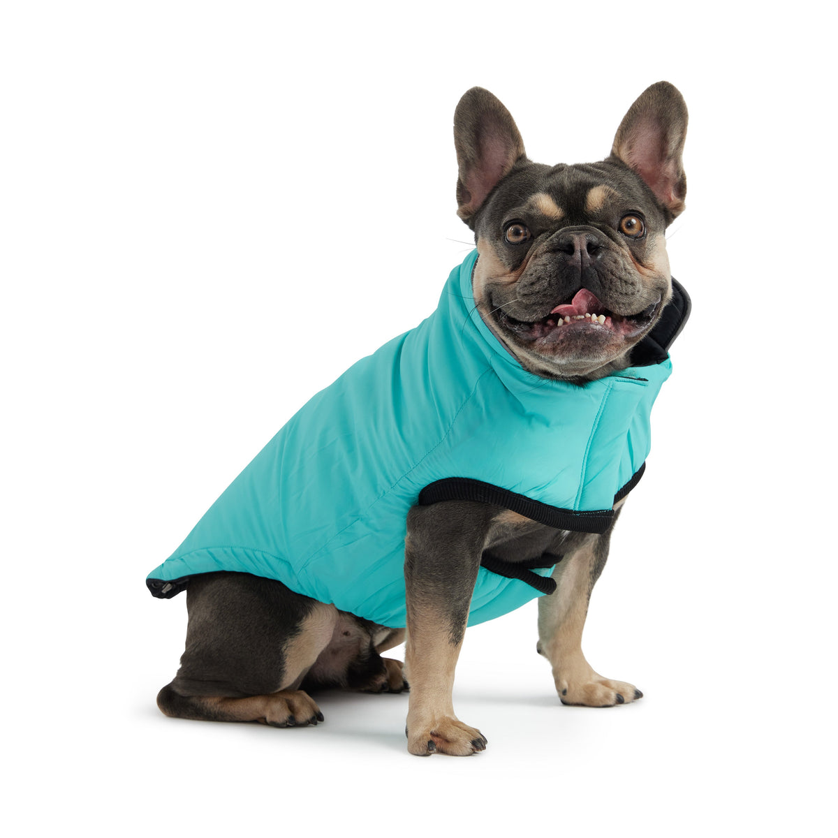 Reversible Chalet Jacket - Black/Aqua premium pet product