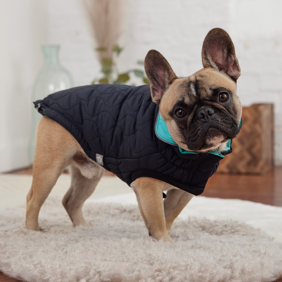 Reversible Chalet Jacket - Black/Aqua premium pet product
