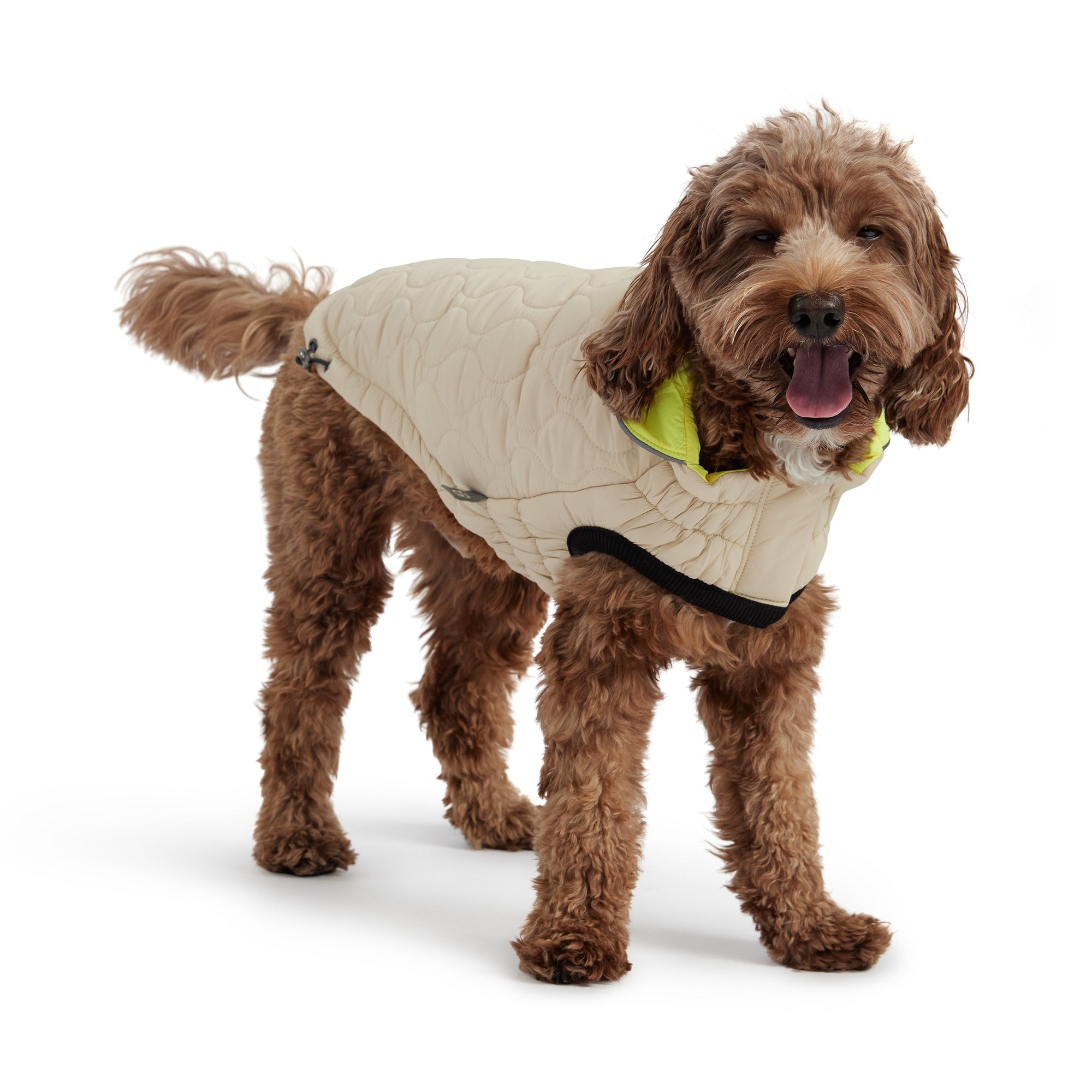 Reversible Chalet Jacket - Sand/Yellow premium pet product