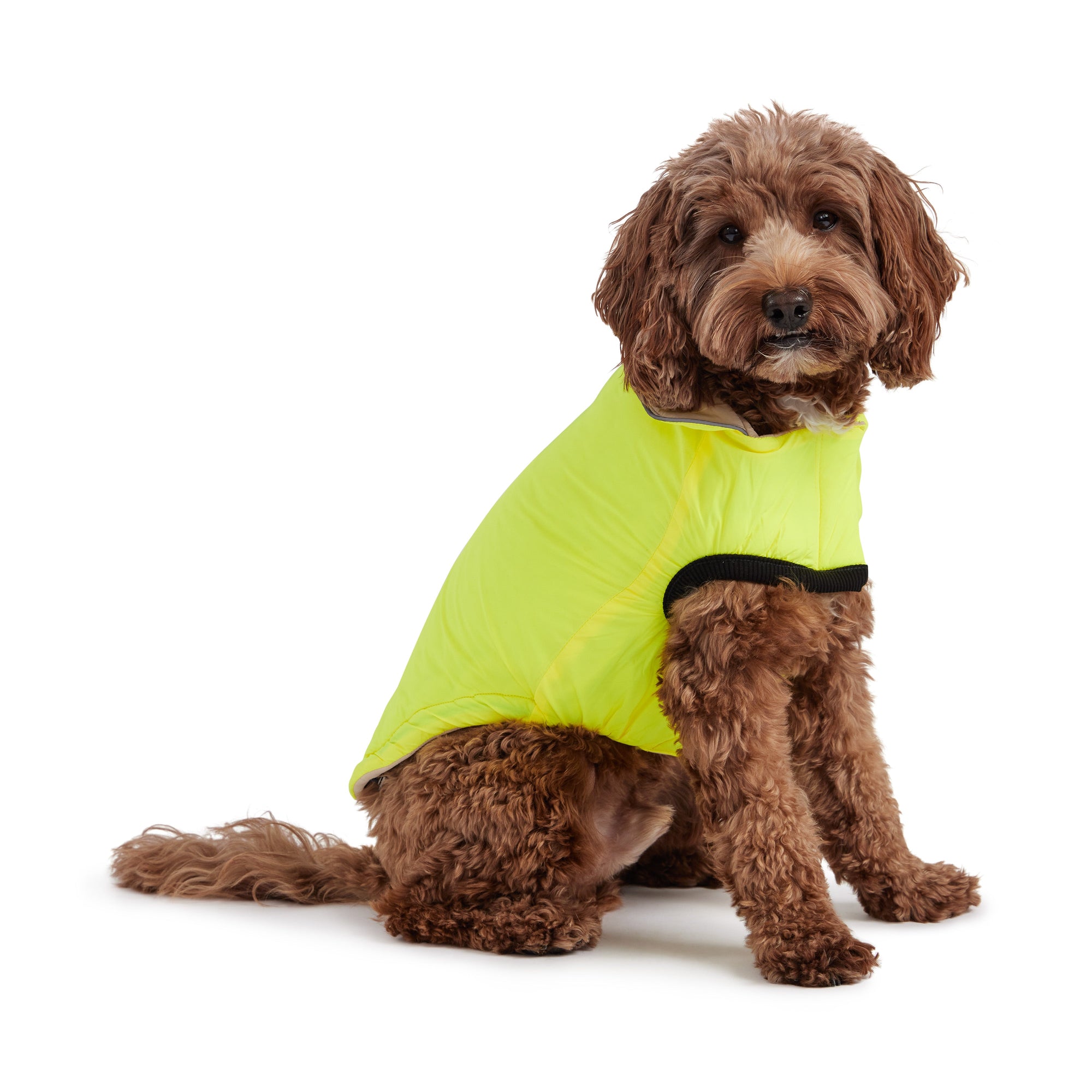 Reversible Chalet Jacket - Sand/Yellow premium pet product