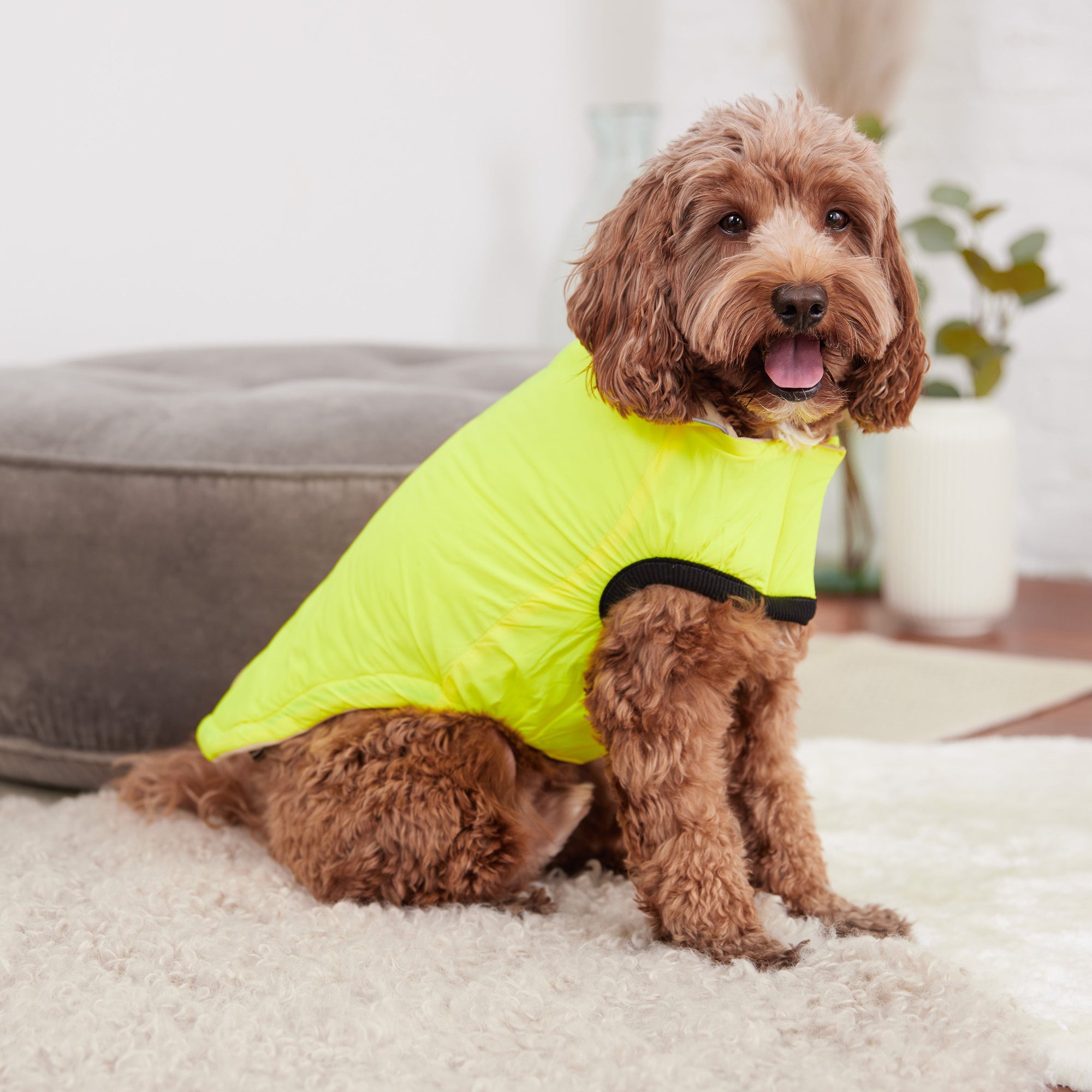 Reversible Chalet Jacket - Sand/Yellow premium pet product