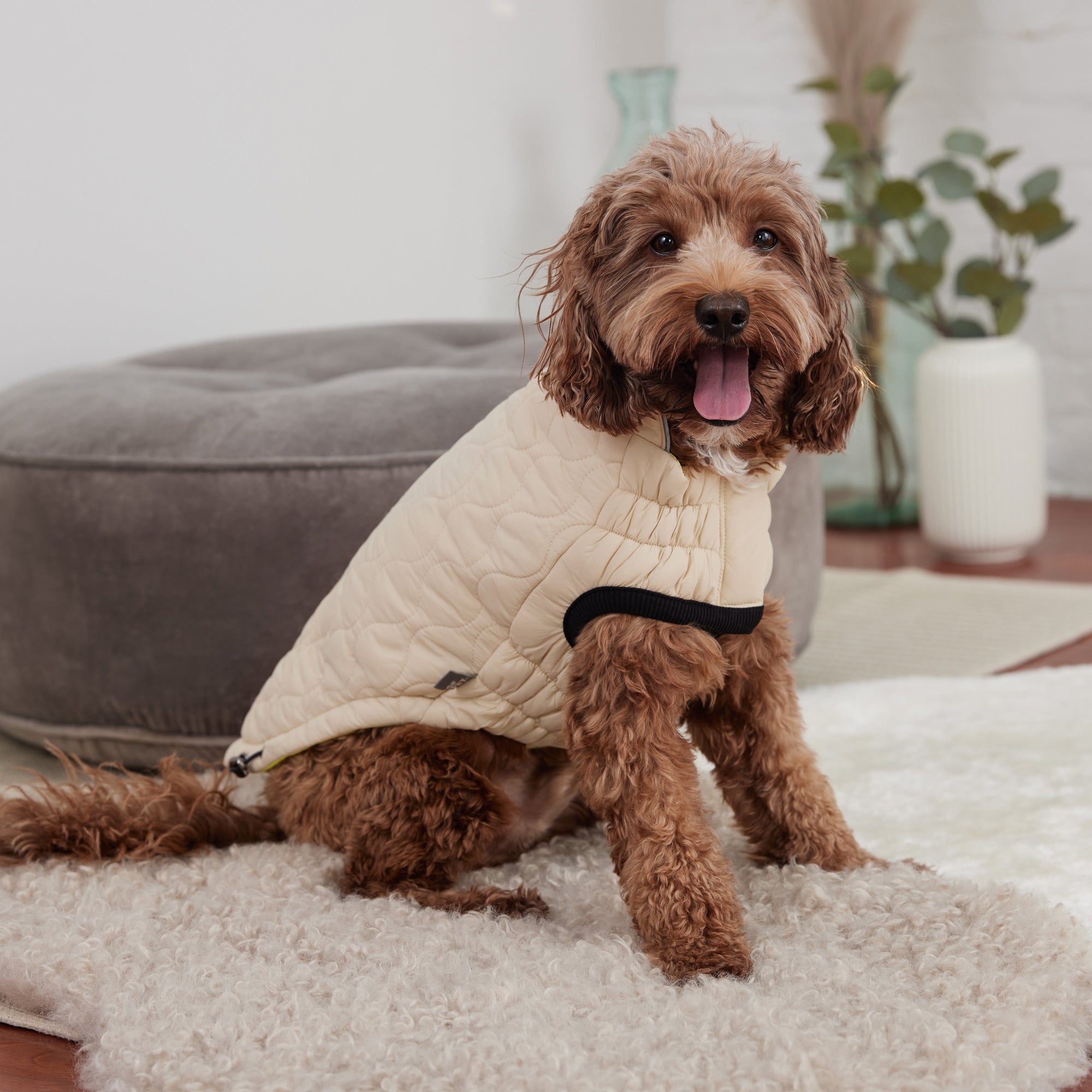 Reversible Chalet Jacket - Sand/Yellow premium pet product