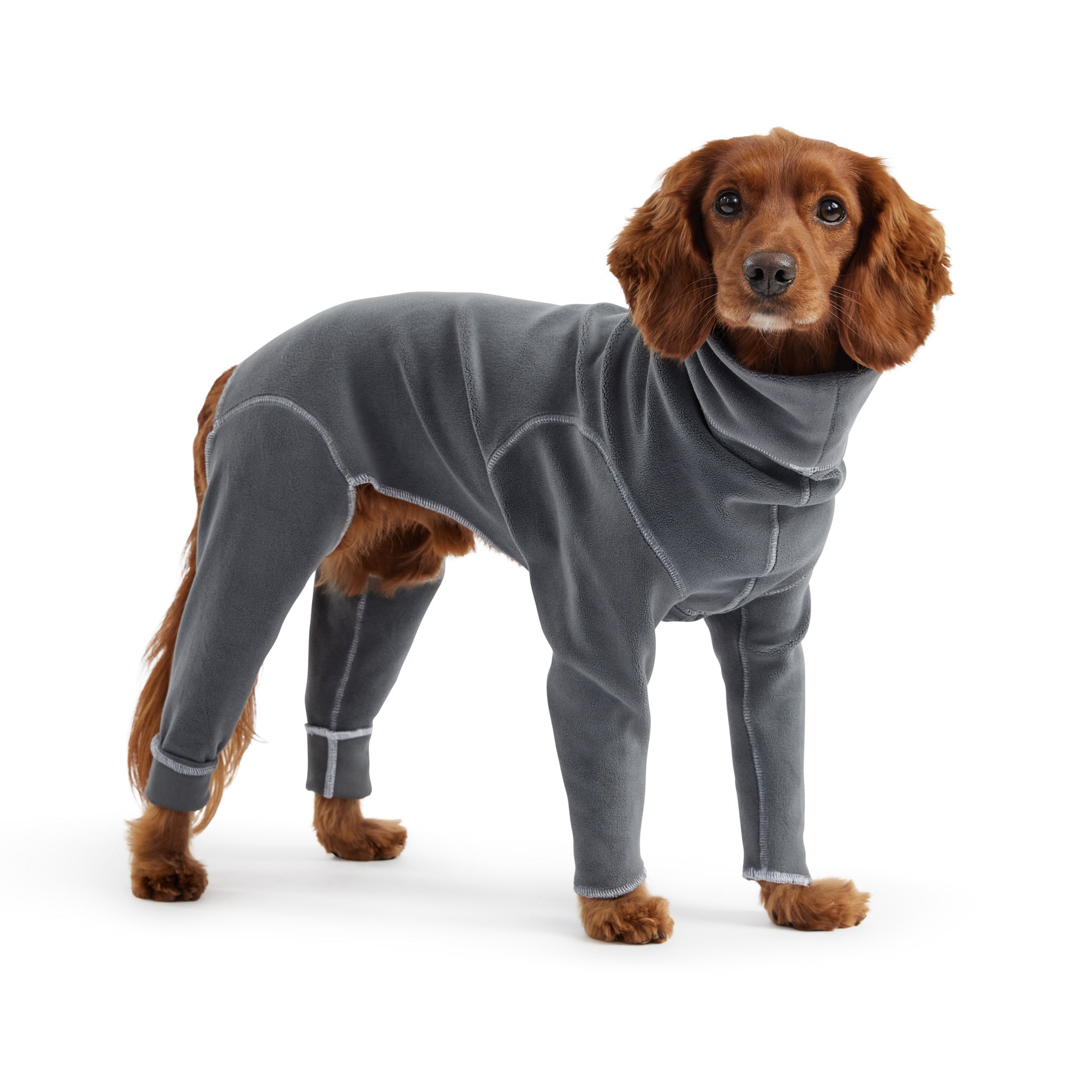Gondola Onesie - Charcoal premium pet product