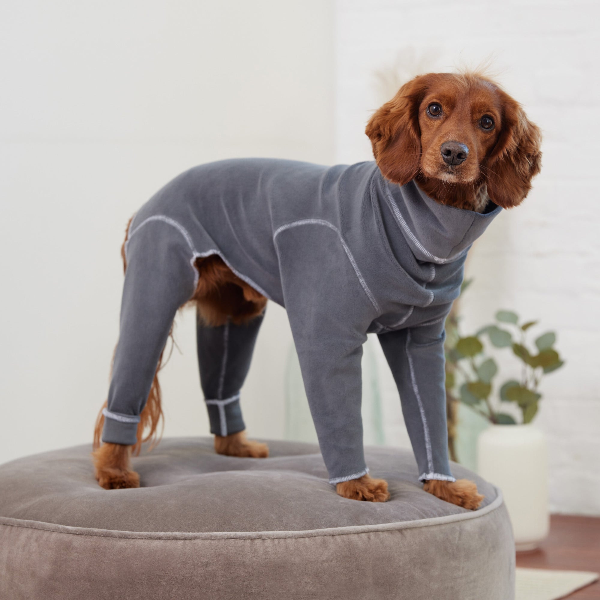 Gondola Onesie - Charcoal premium pet product