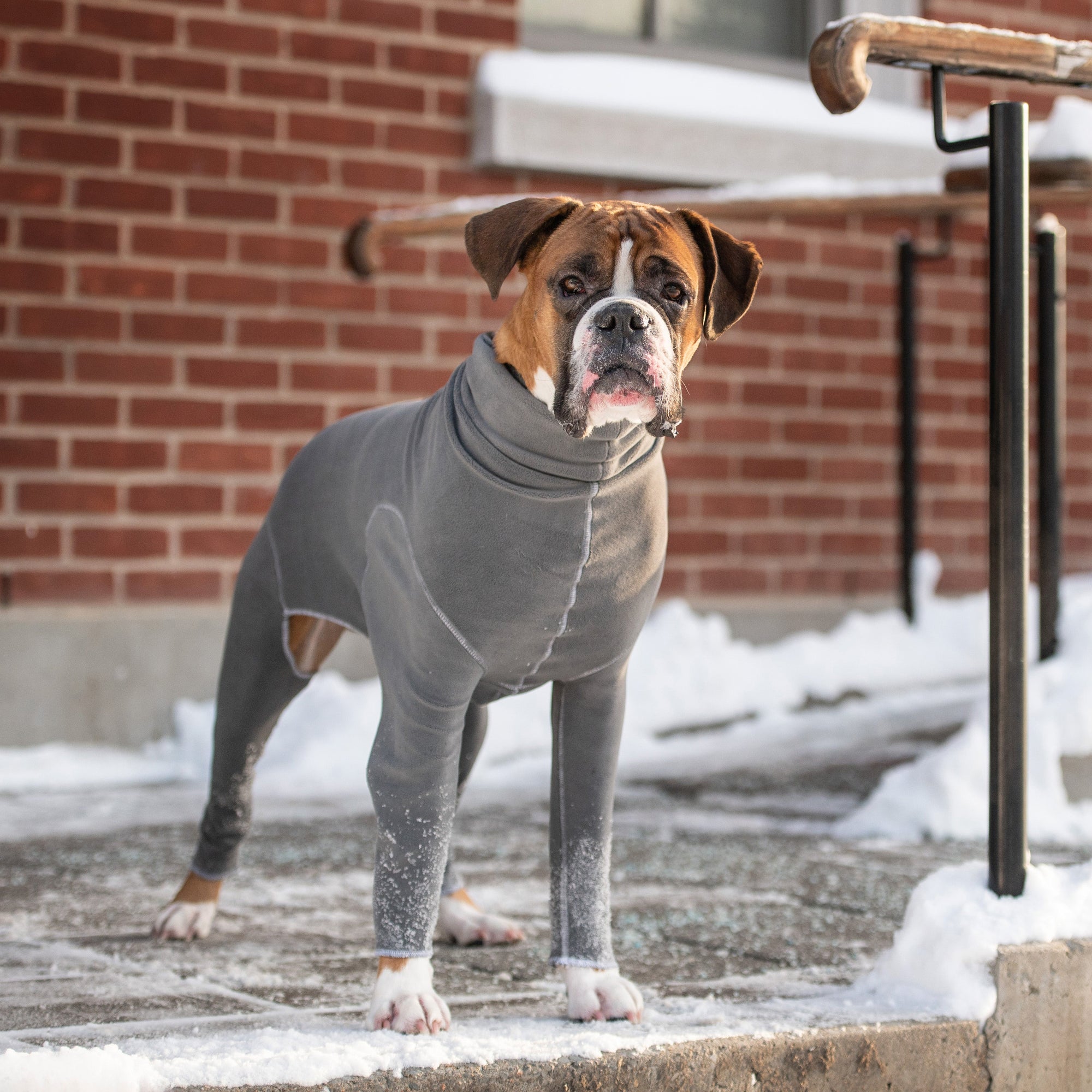 Gondola Onesie - Charcoal premium pet product