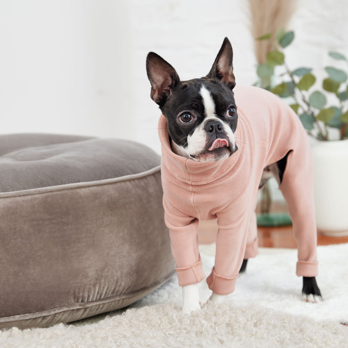 Gondola Onesie - Pink premium pet product