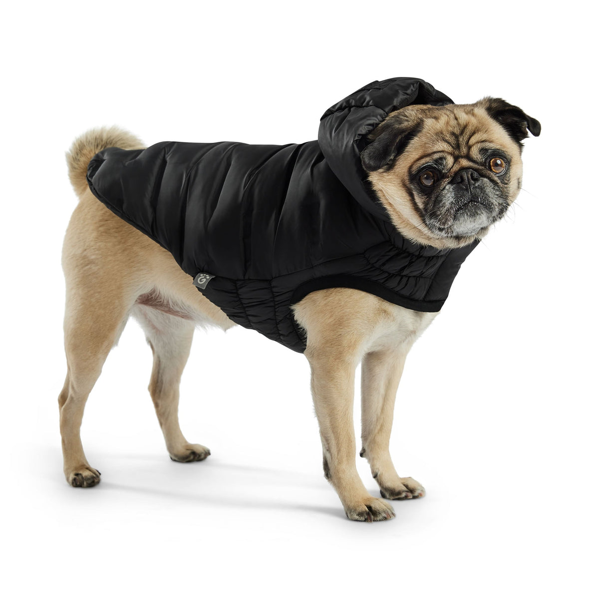 Cloud Parka premium pet product