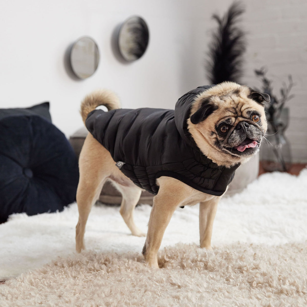 Cloud Parka premium pet product