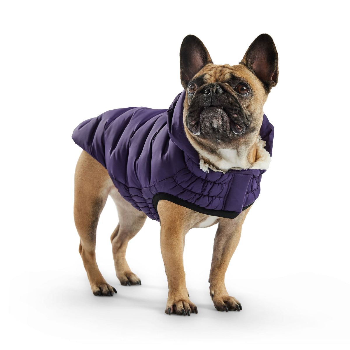Cloud Parka premium pet product