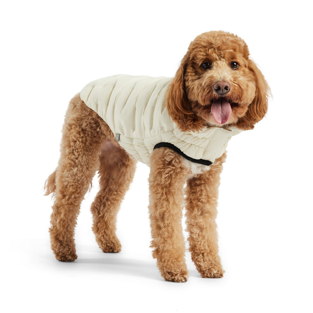 Cloud Parka premium pet product