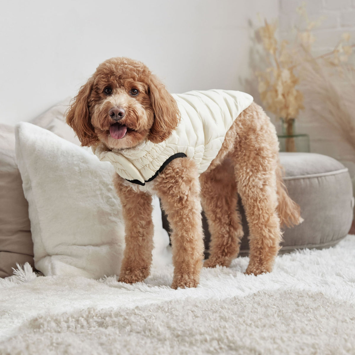 Cloud Parka premium pet product