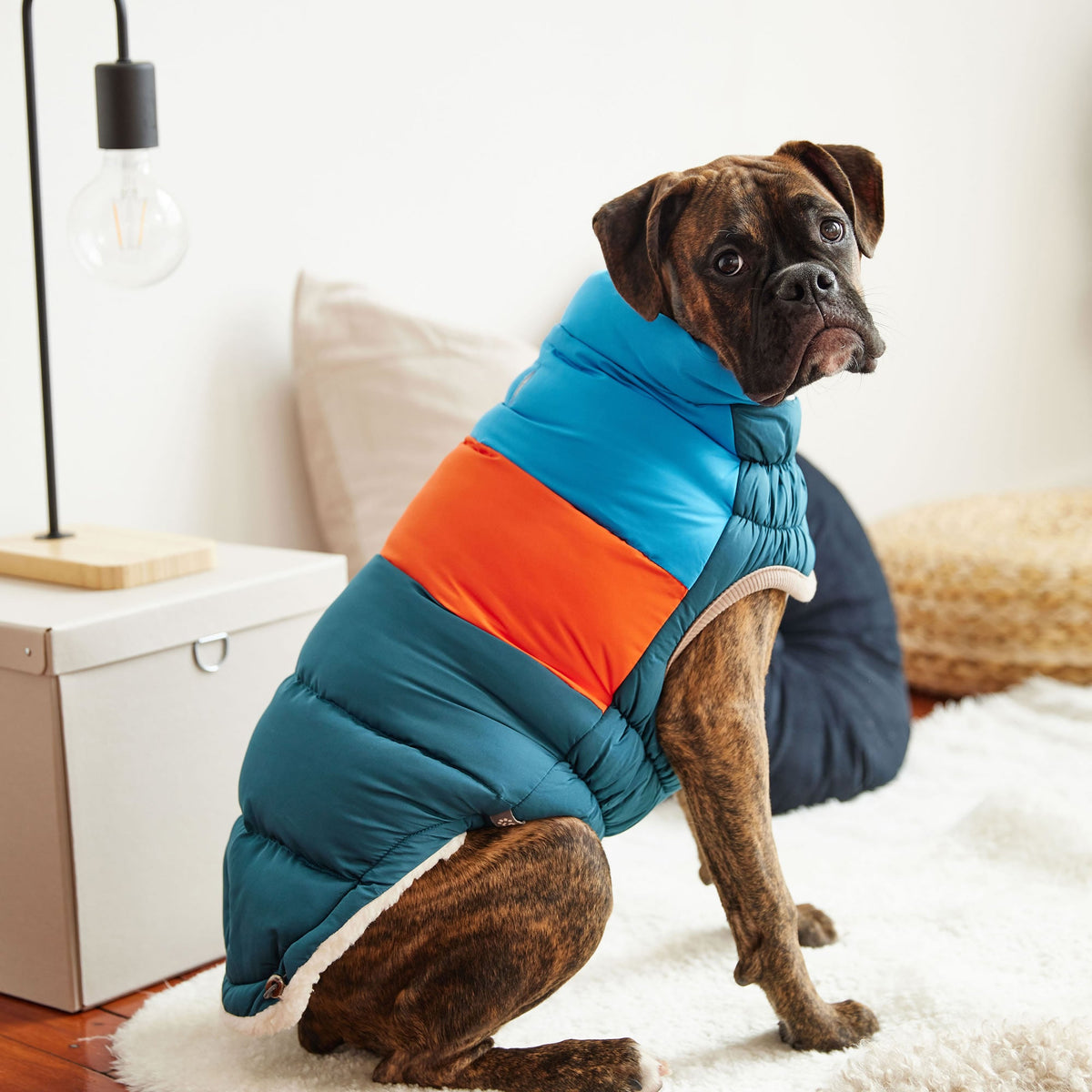 Color Block Puffer premium pet product