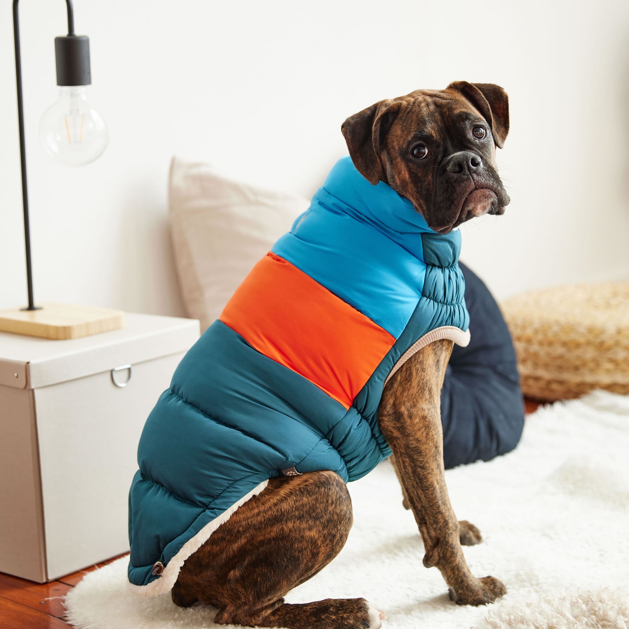 Color Block Puffer premium pet product