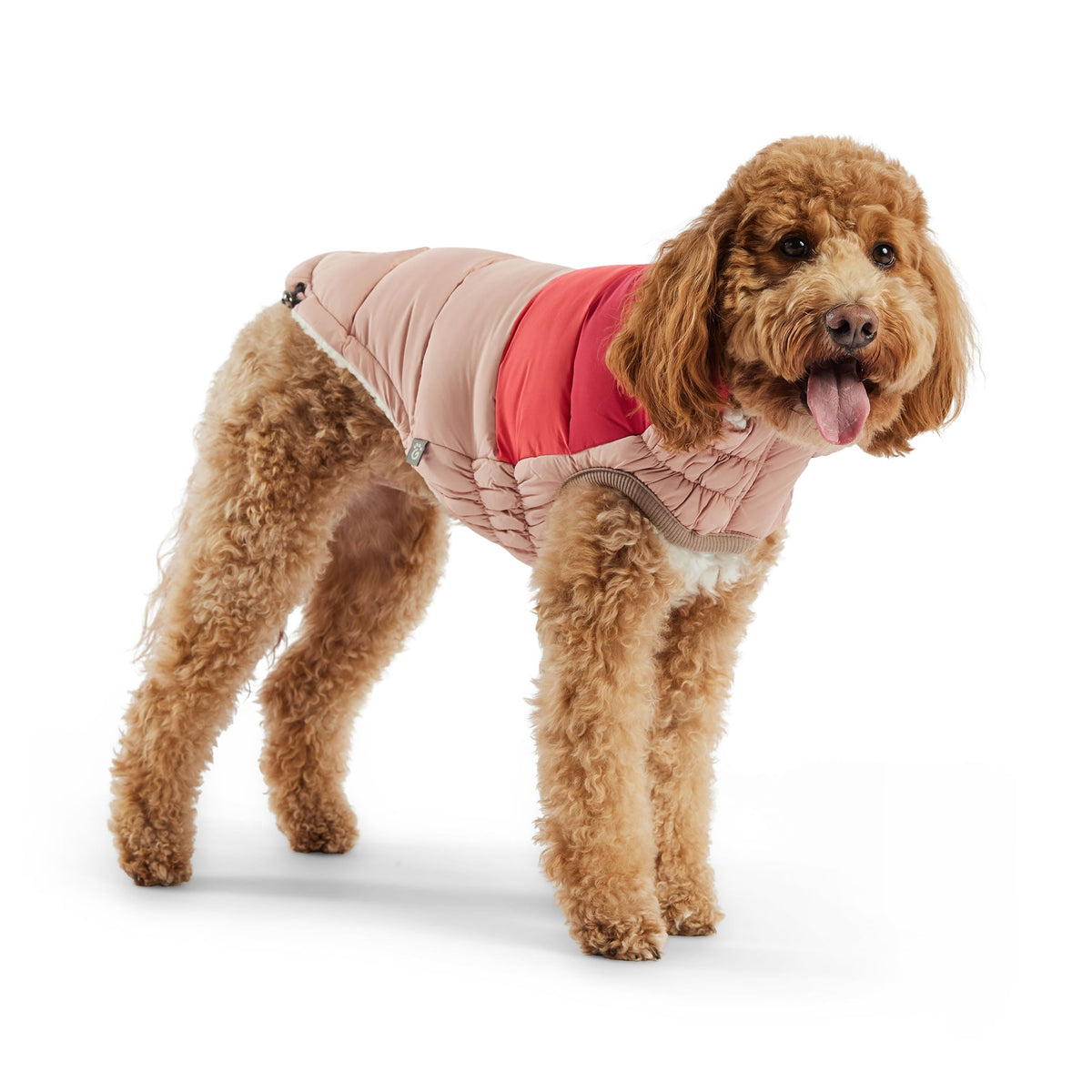 Color Block Puffer premium pet product
