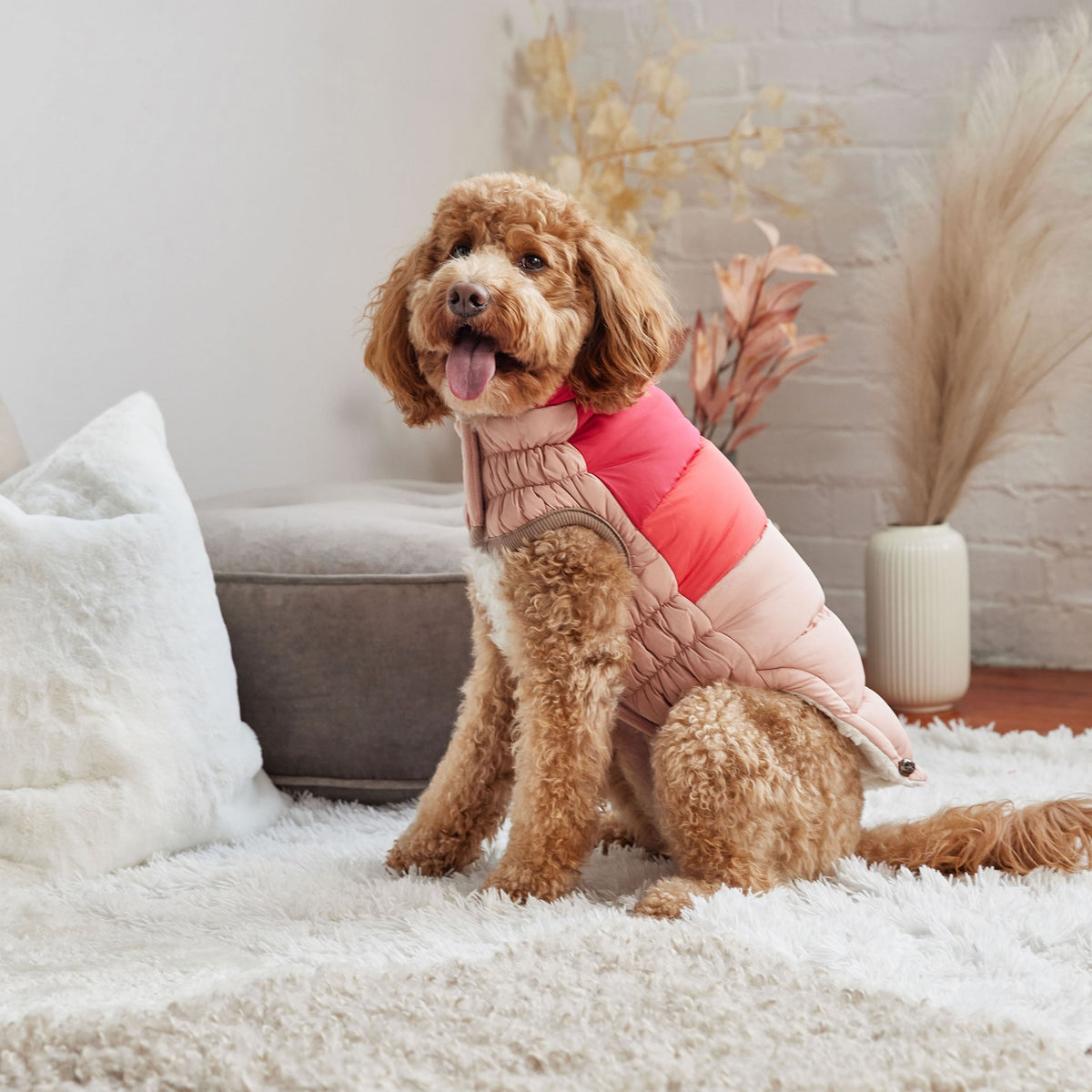 Color Block Puffer premium pet product