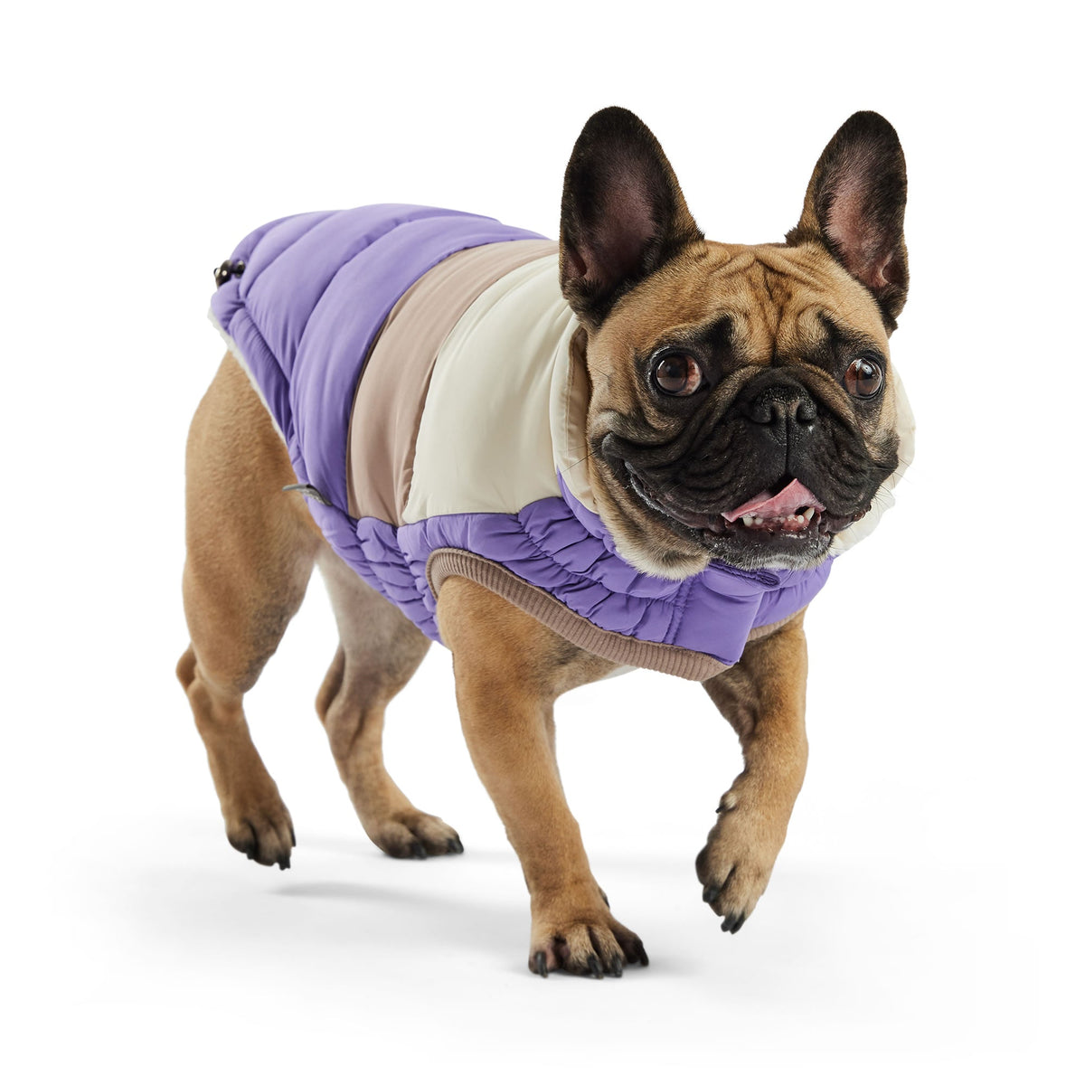 Color Block Puffer premium pet product