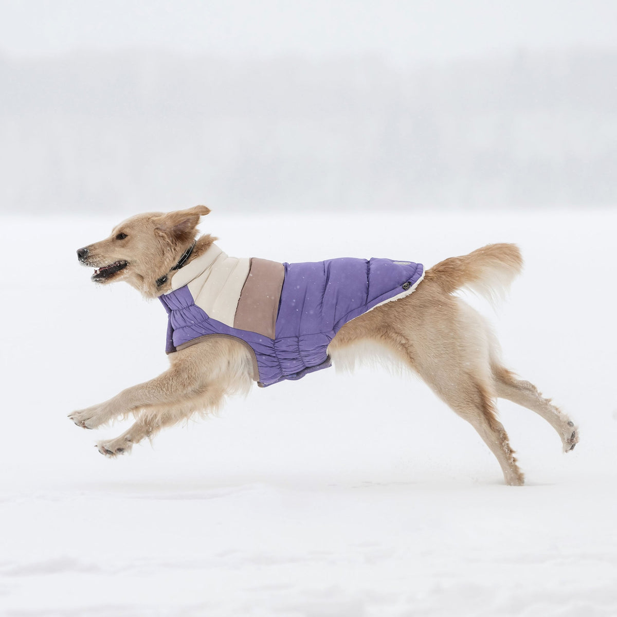 Color Block Puffer premium pet product