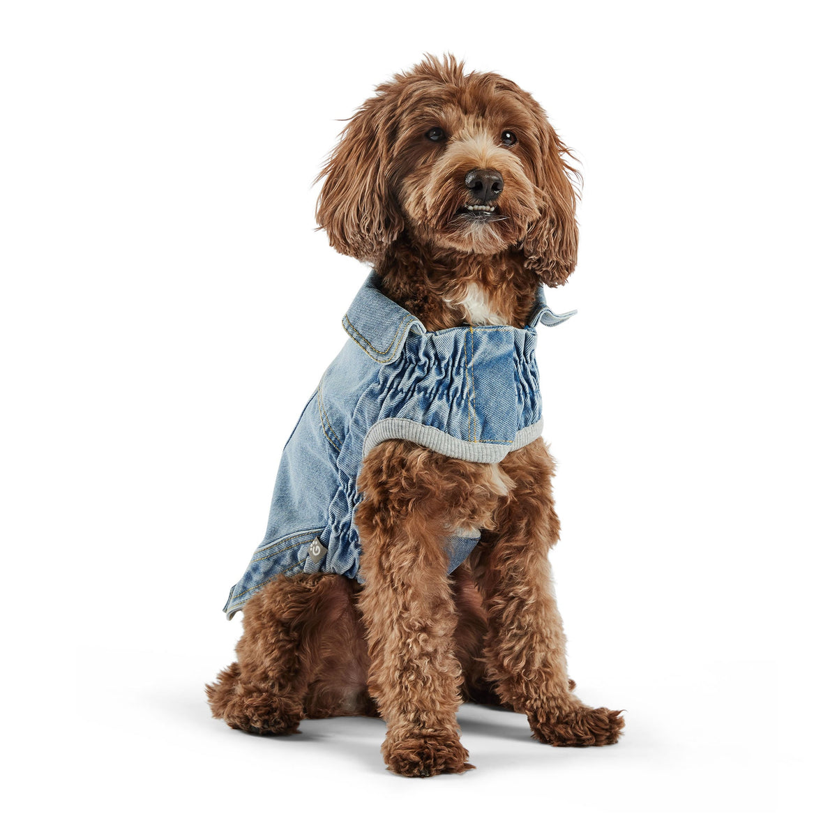 Denim Jacket All Season - Light Wash premium pet product
