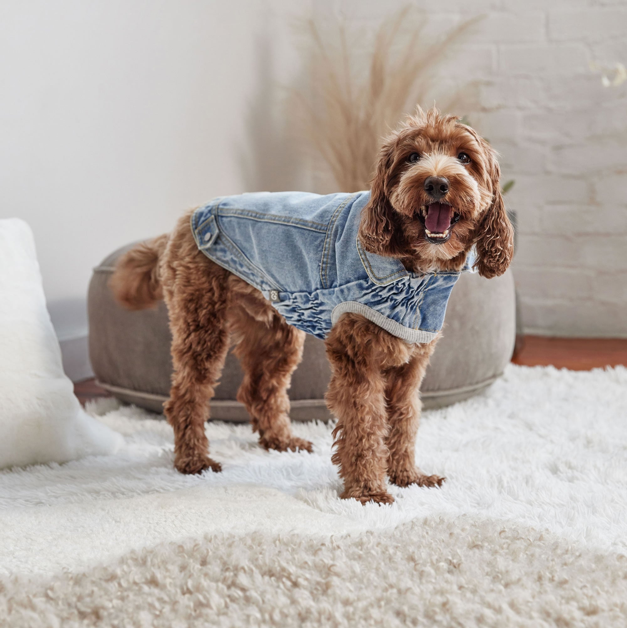 Denim Jacket All Season - Light Wash premium pet product