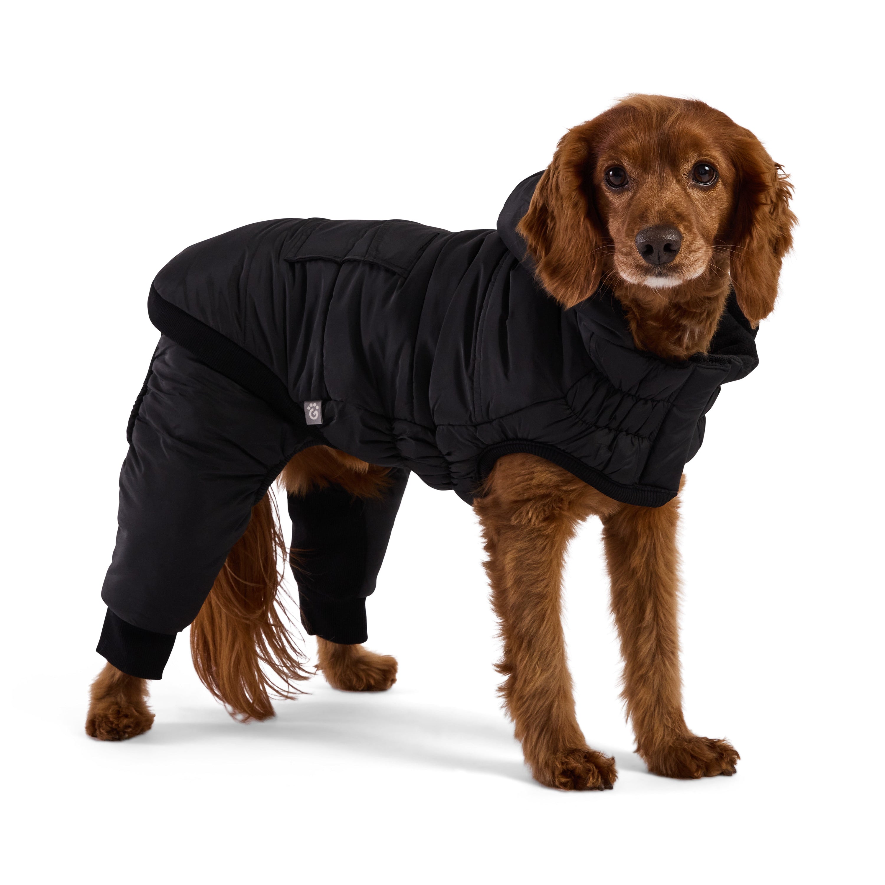 Odyssey Snowsuit premium pet product