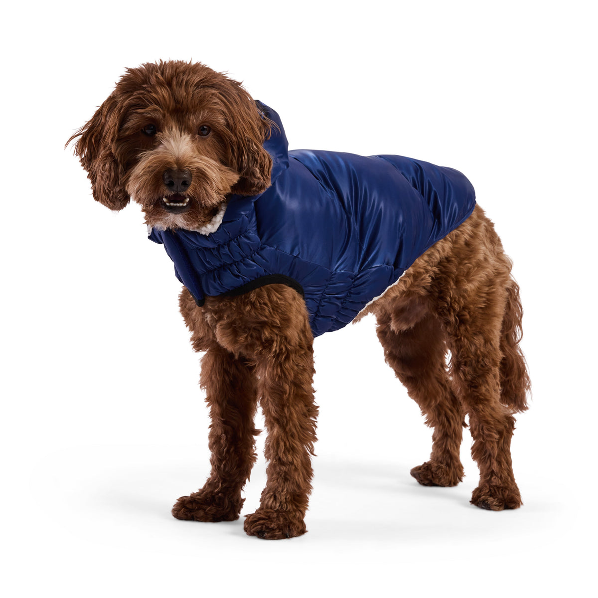 Lunar Glow Parka premium pet product