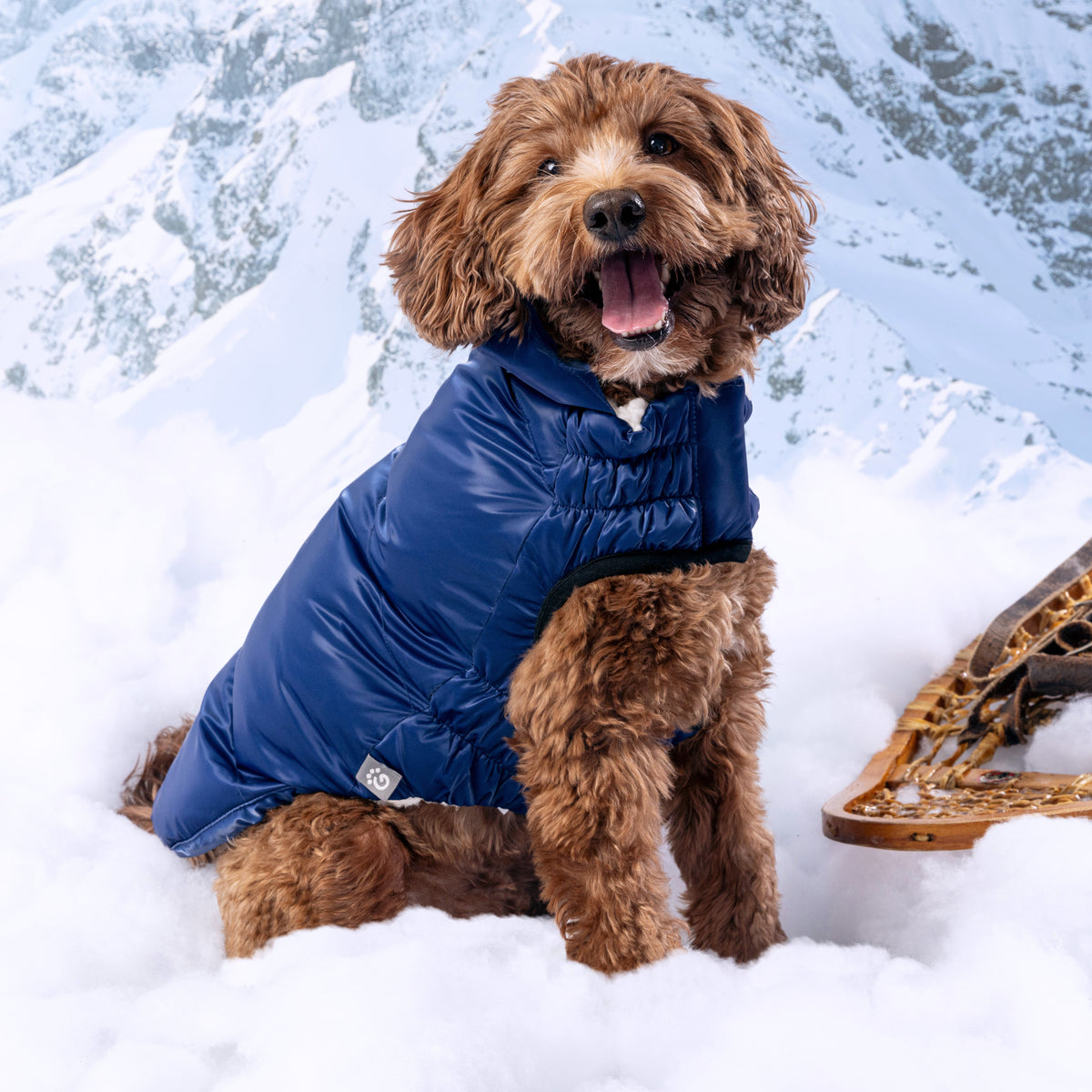 Lunar Glow Parka premium pet product
