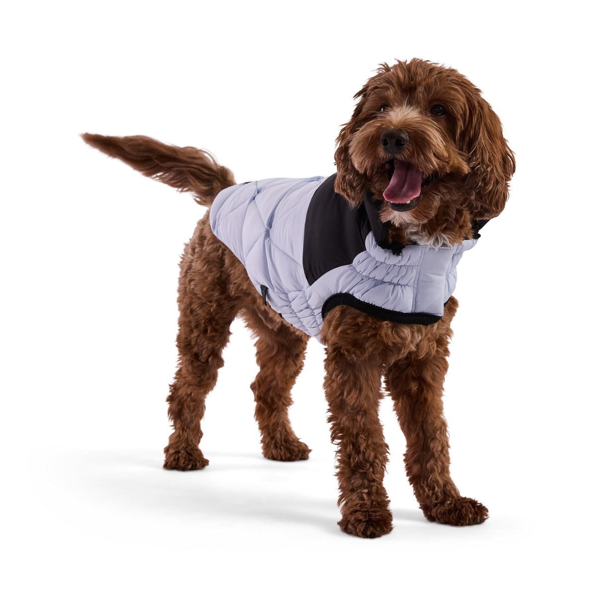 Diamond Puffer premium pet product