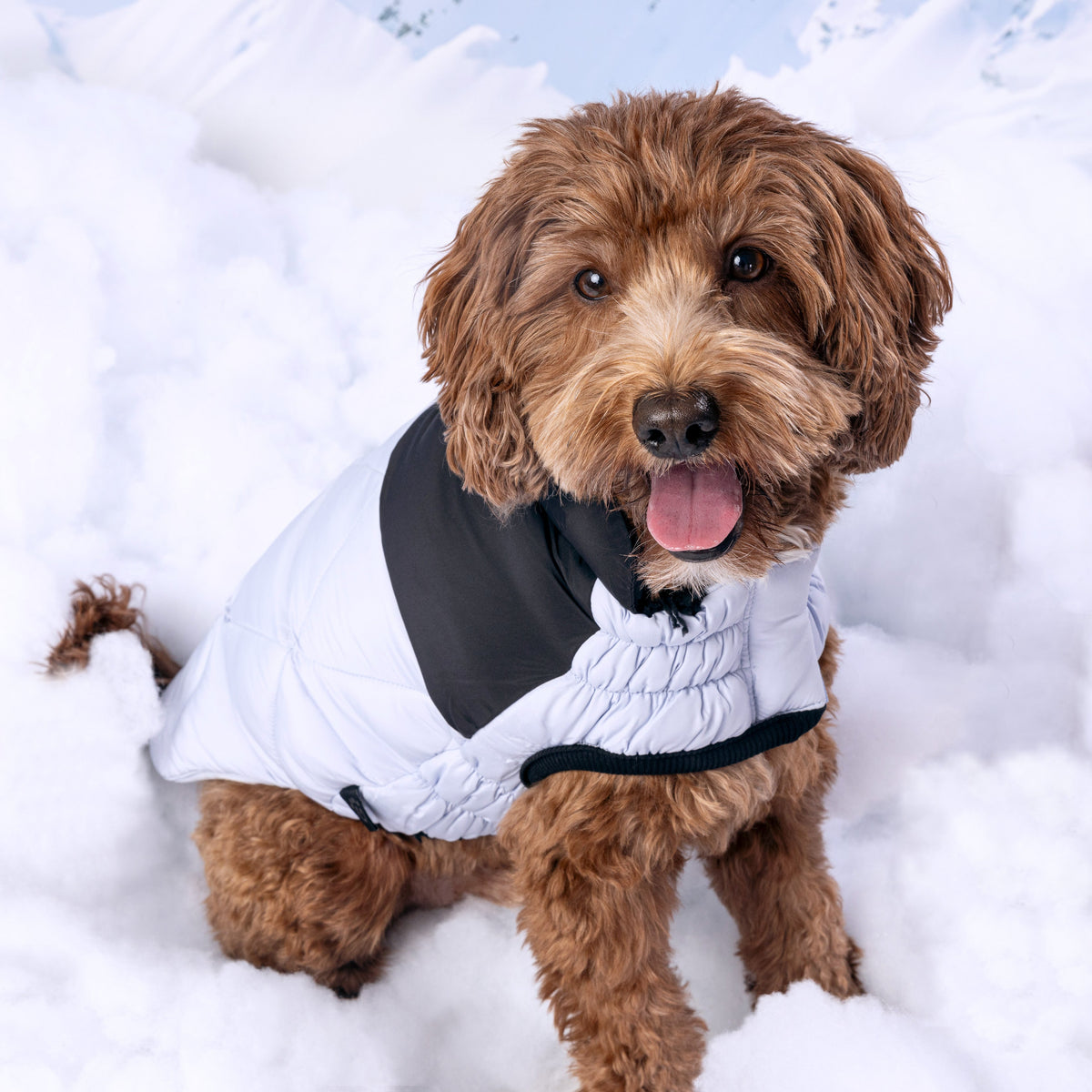 Diamond Puffer premium pet product