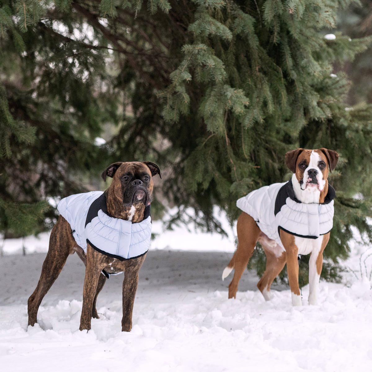 Diamond Puffer premium pet product