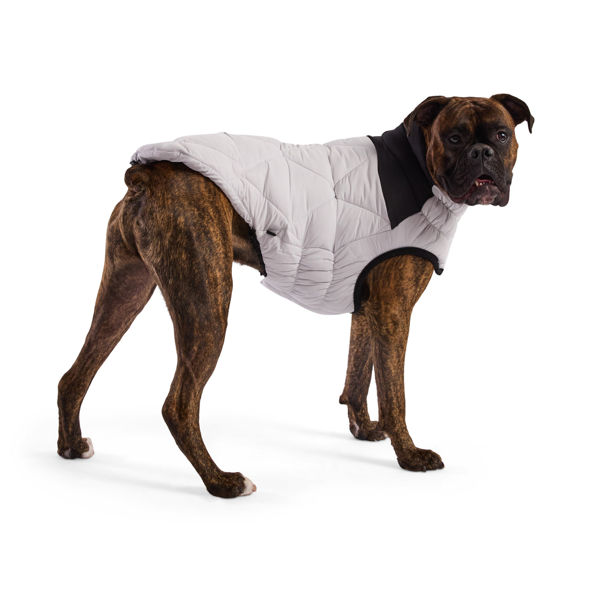 Diamond Puffer premium pet product