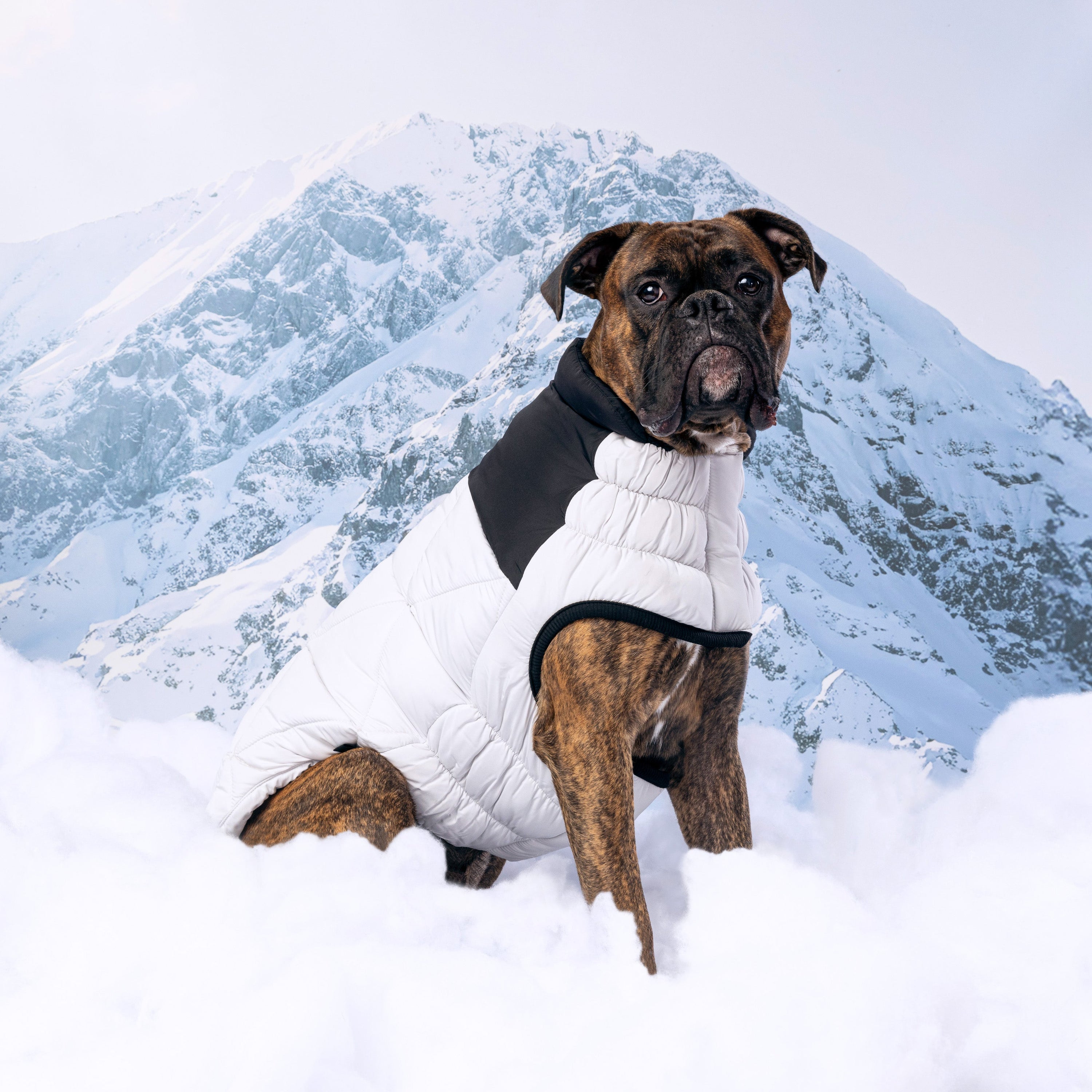 Diamond Puffer premium pet product
